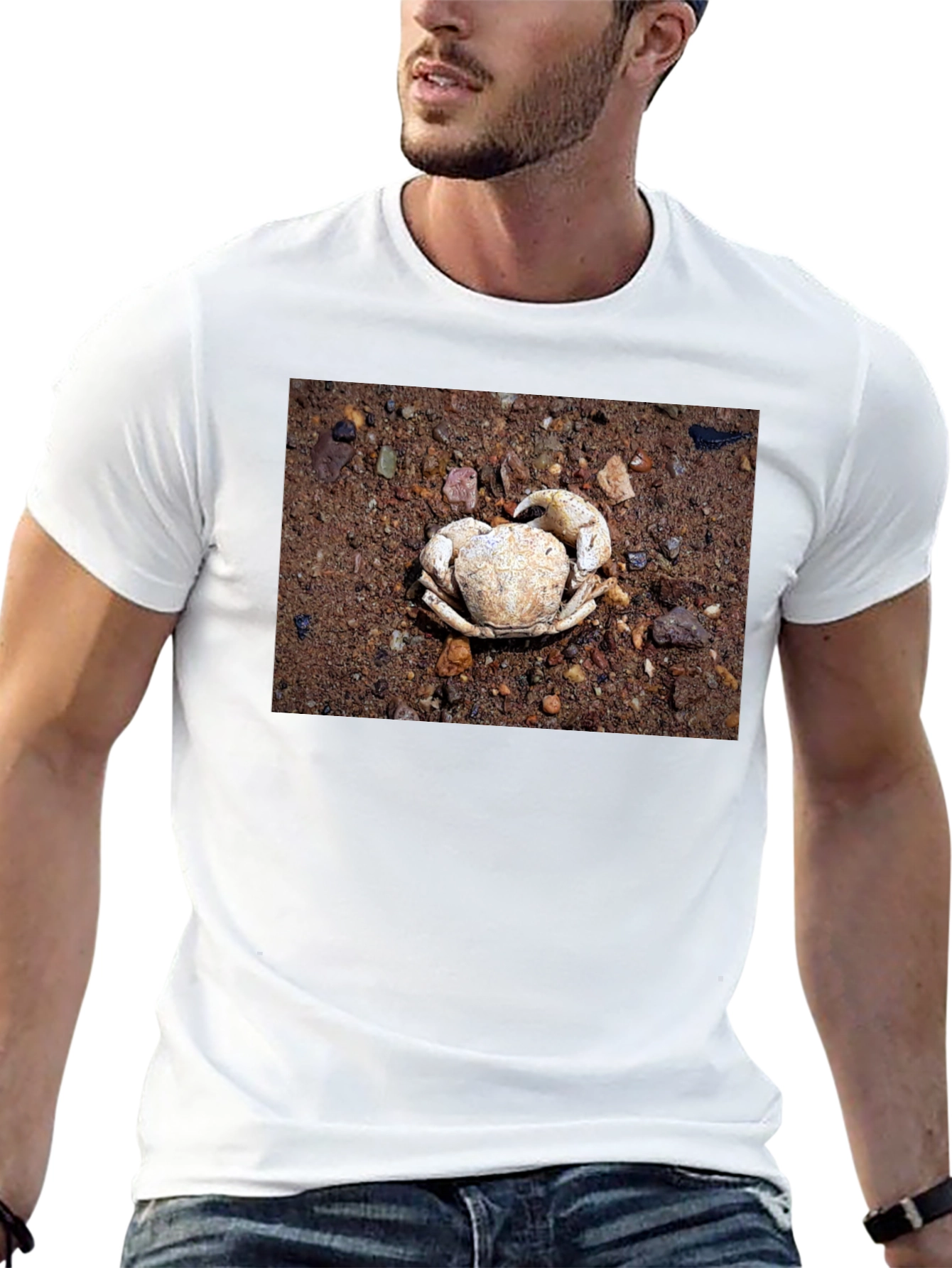 Crab Shell Graphic Tee - Beachcomber Style