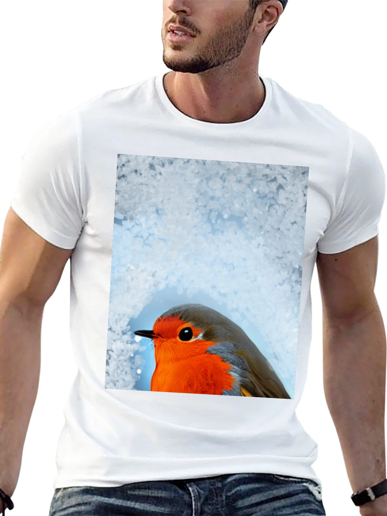 Robin Bird Graphic Tee - Winter Design