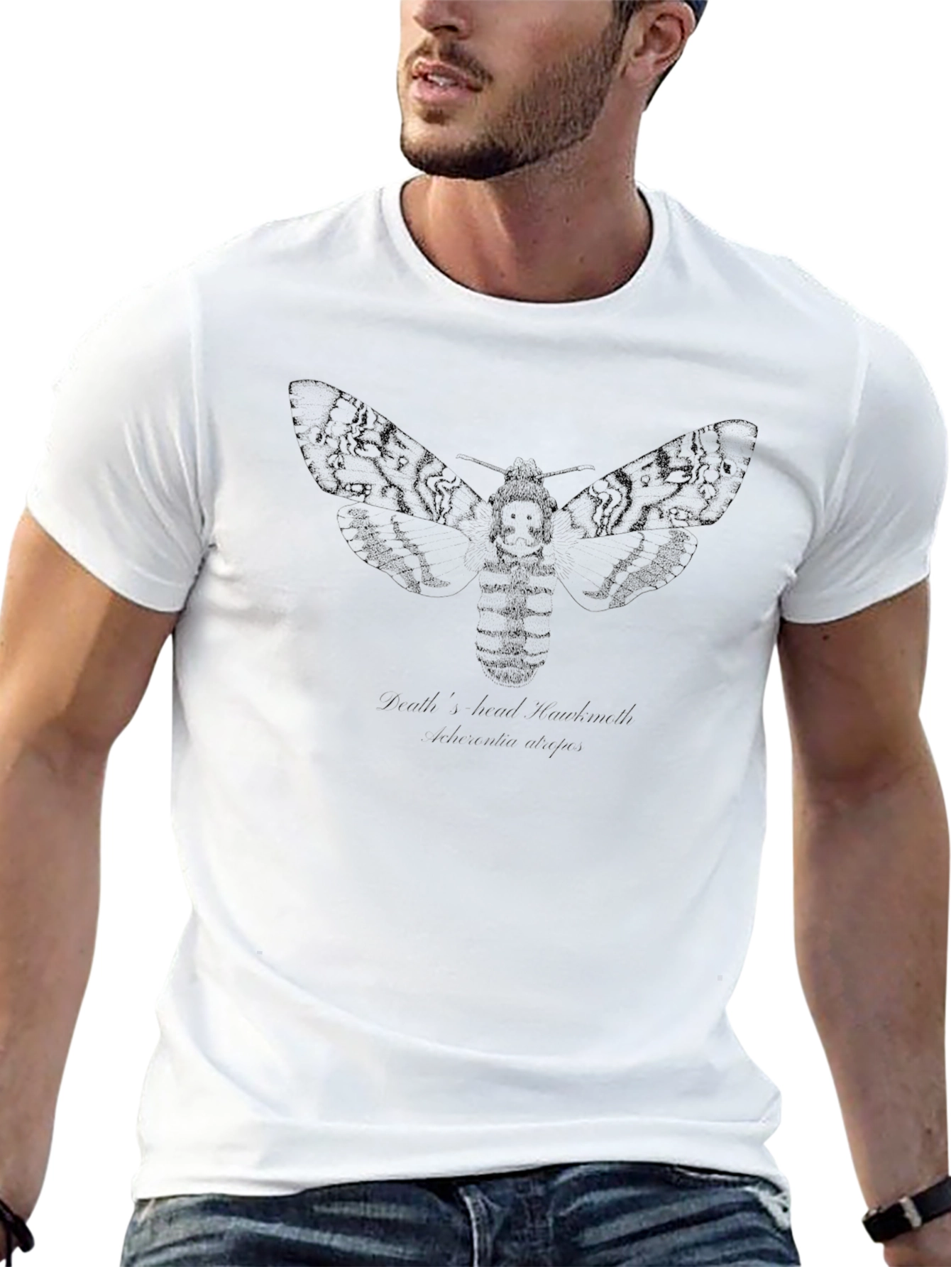 Black Graphic Tee - Deaths-head Hawkmoth Design