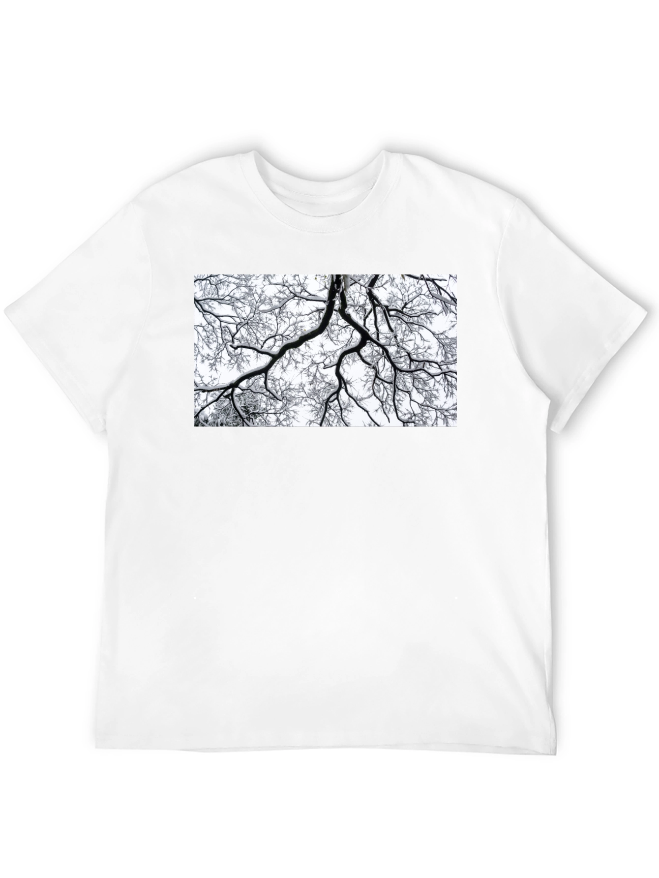 Winter Branches Graphic Tee