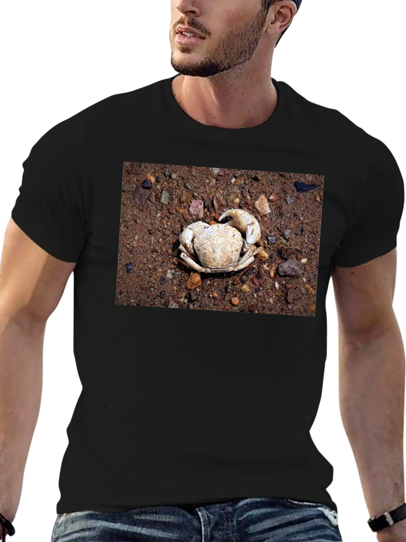 Crab Shell Graphic Tee - Beachcomber Style