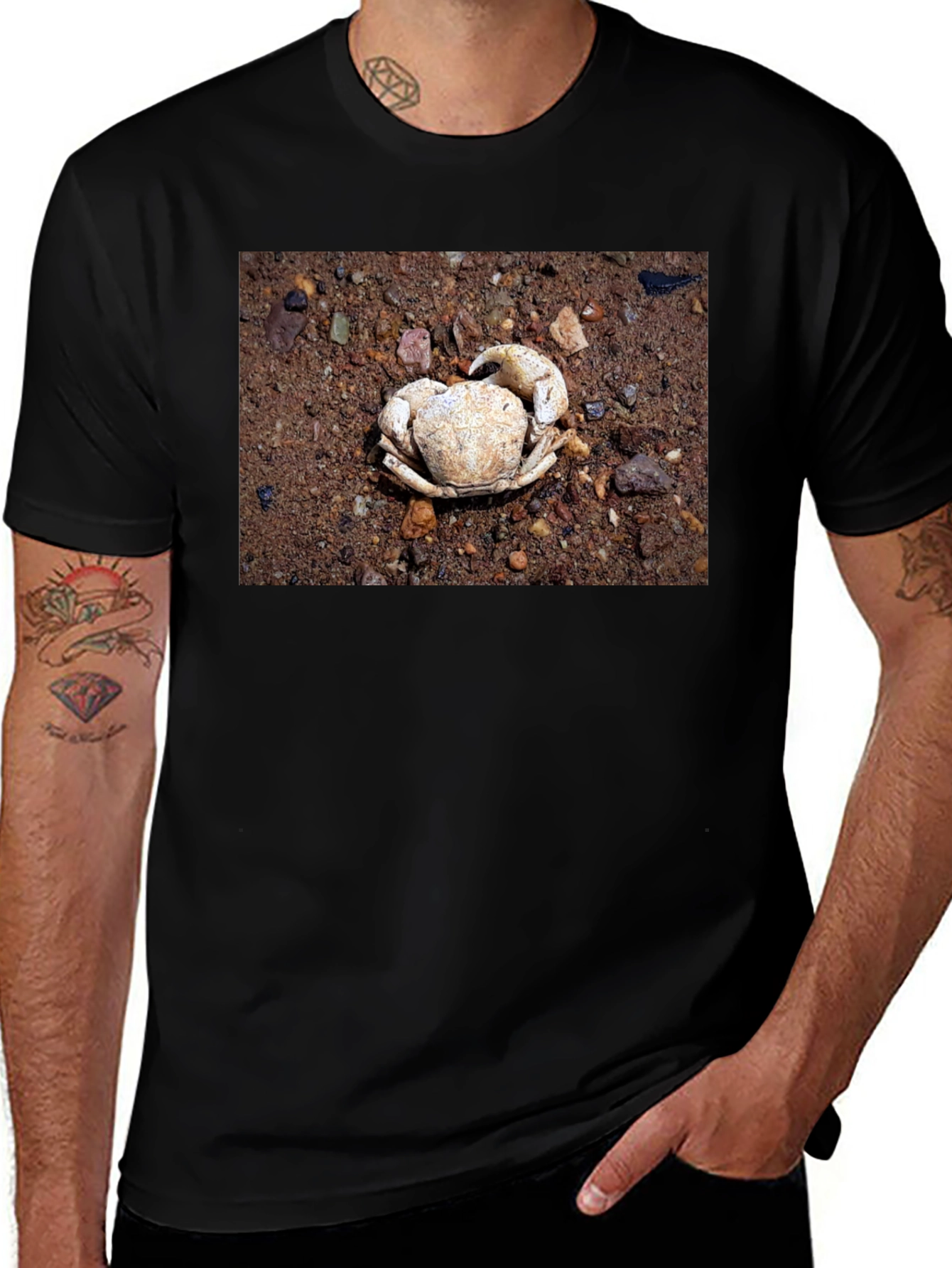 Crab Shell Graphic Tee - Beachcomber Style