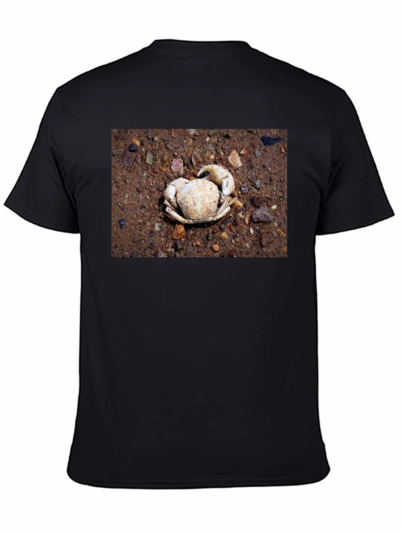 Crab Shell Graphic Tee - Beachcomber Style