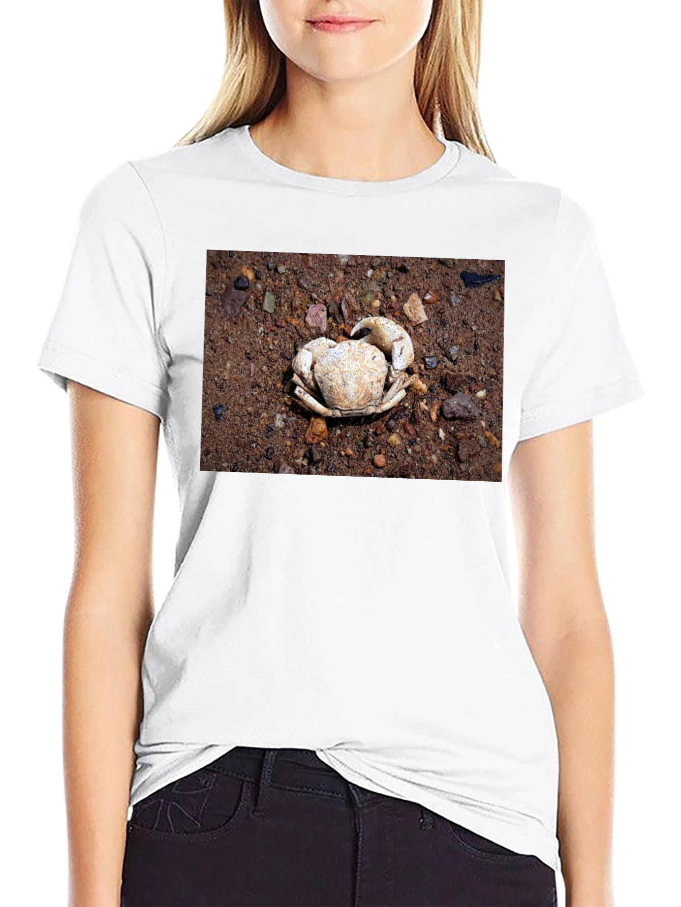 Crab Shell Graphic Tee - Beachcomber Style