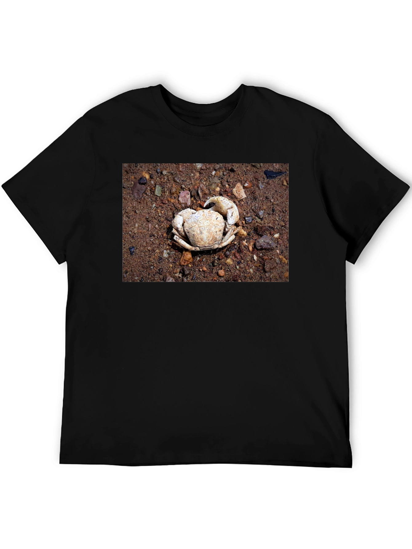 Crab Shell Graphic Tee - Beachcomber Style