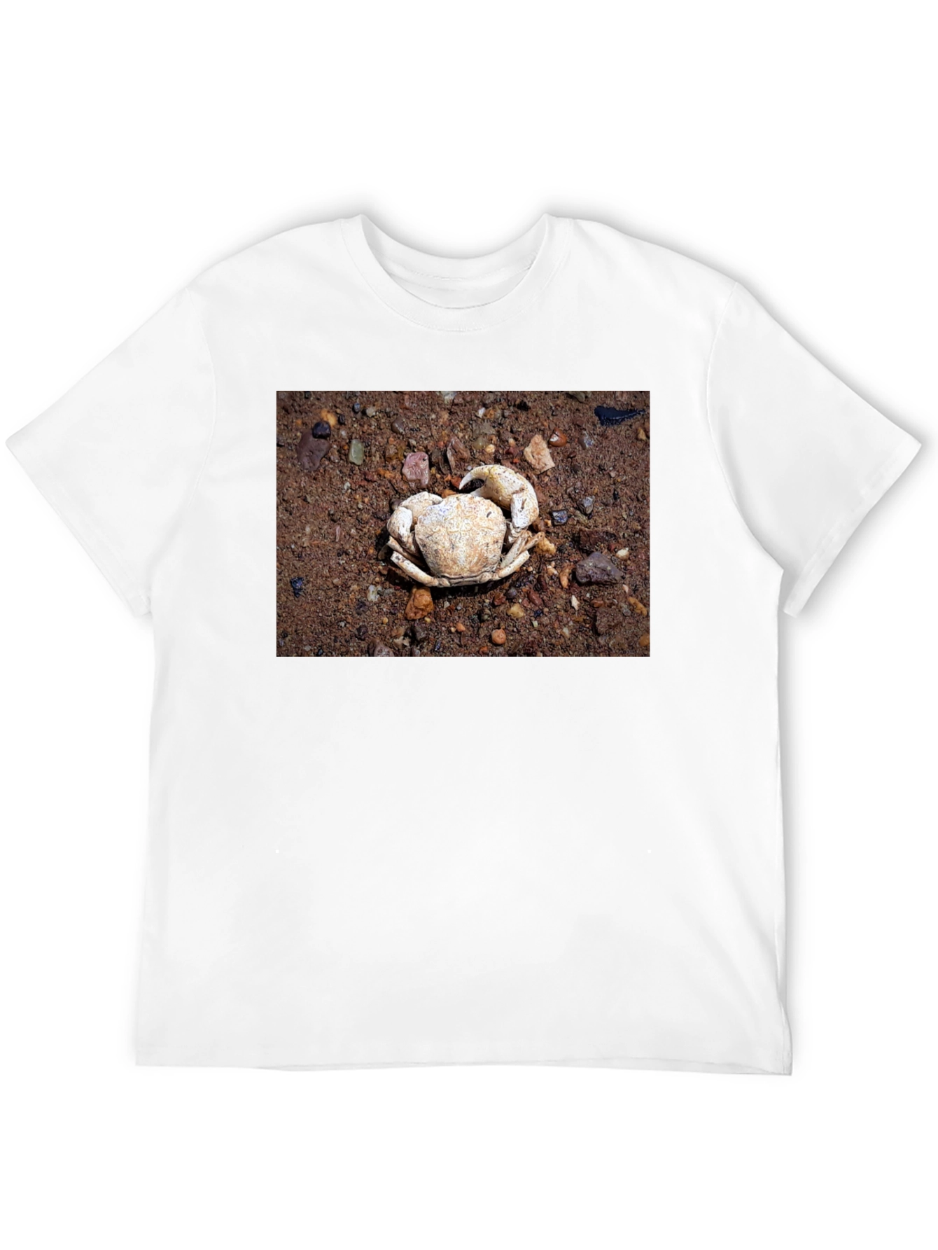 Crab Shell Graphic Tee - Beachcomber Style