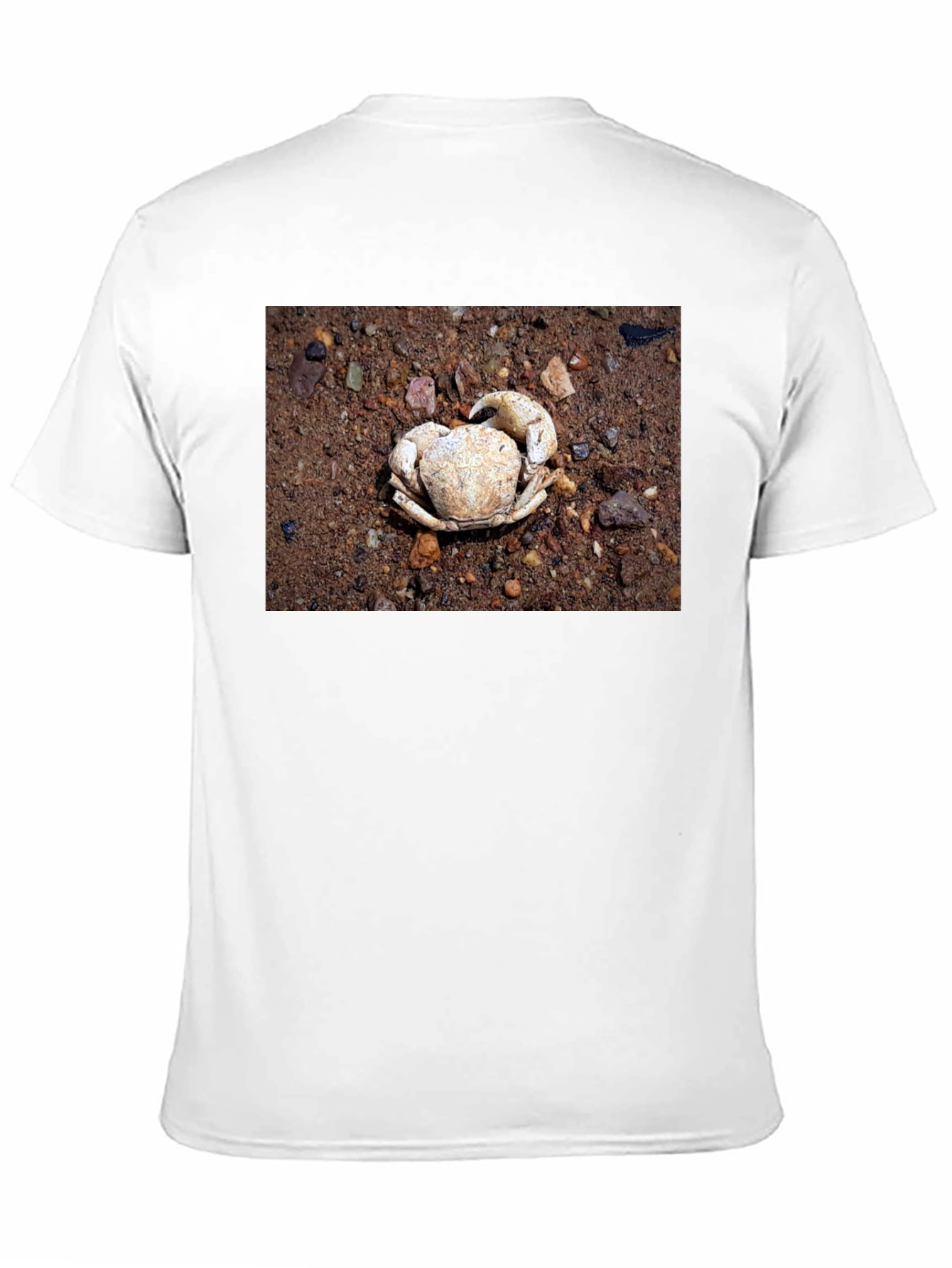 Crab Shell Graphic Tee - Beachcomber Style