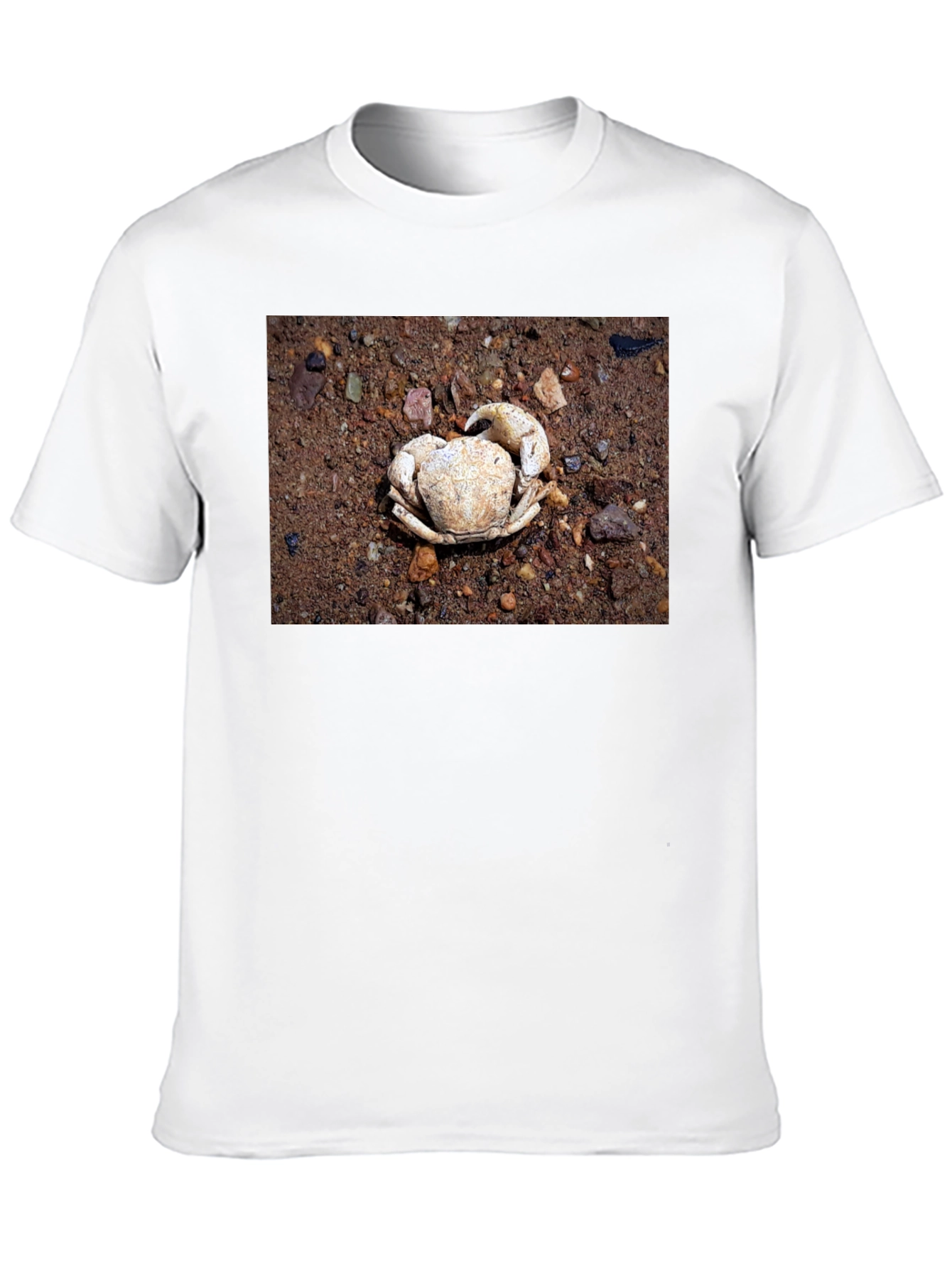 Crab Shell Graphic Tee - Beachcomber Style