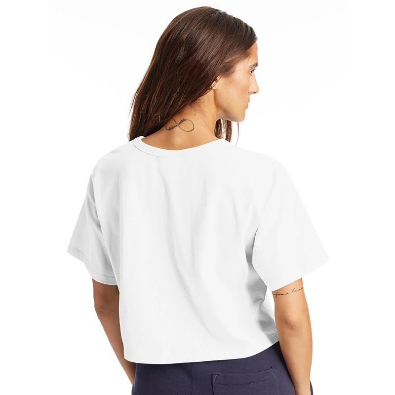 Yogyakarta - Tropical Retro