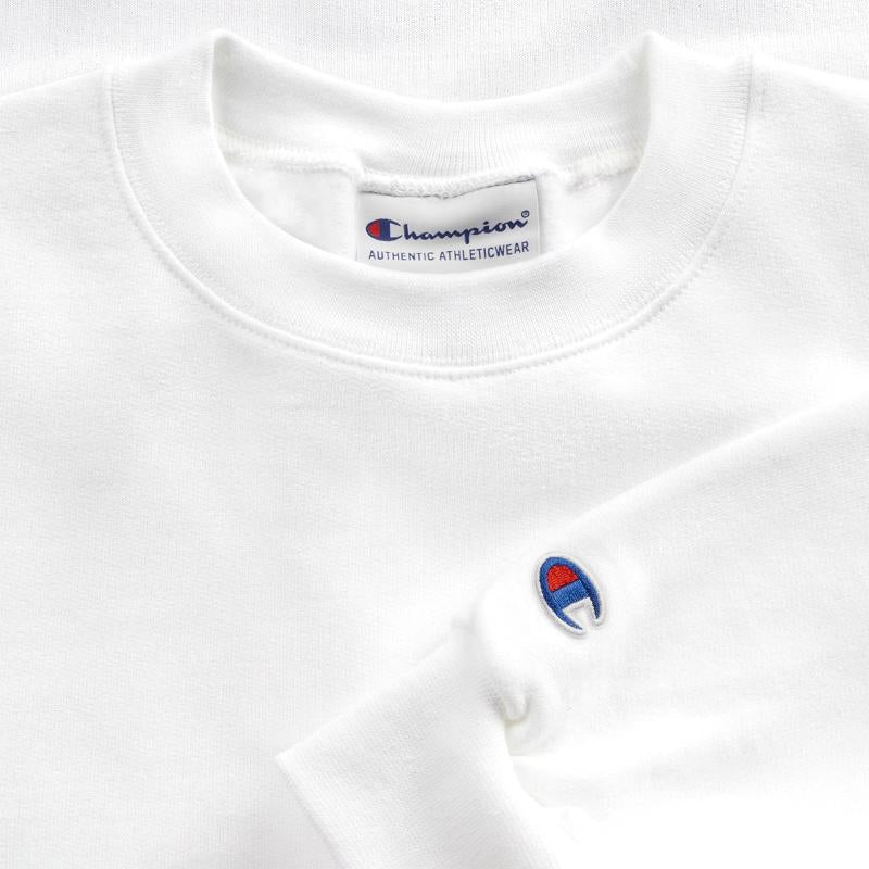 Wild Kingdom! - Lioness