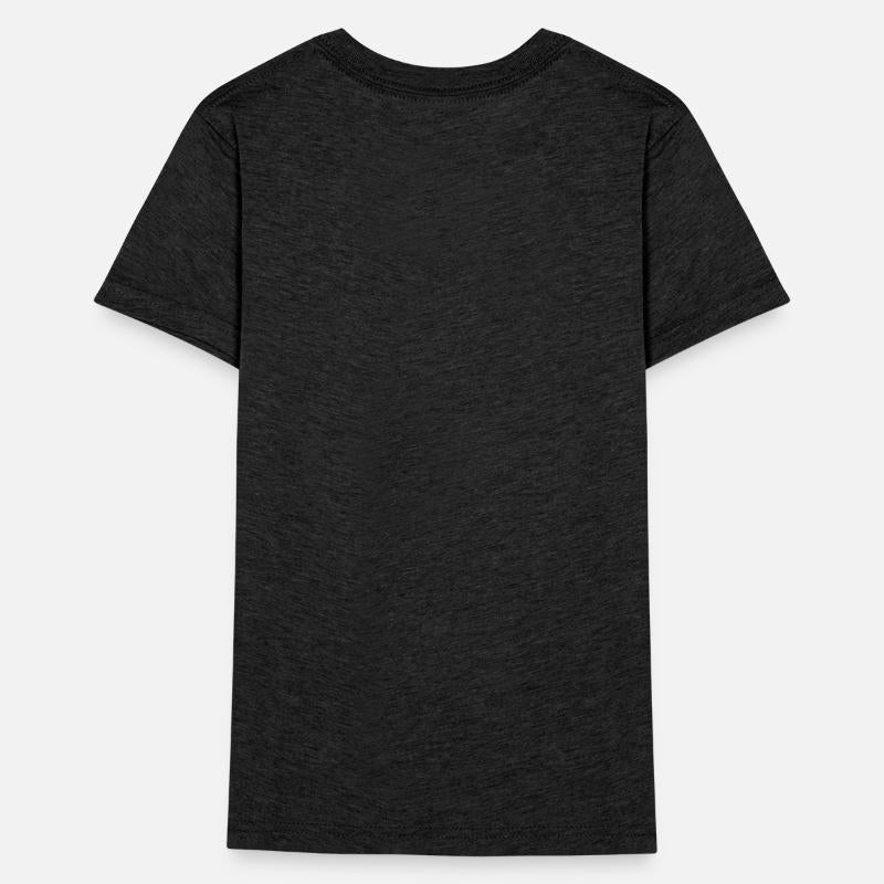 2nd Birthday Dinosaur T Rex Rawr I'm 2 Boys