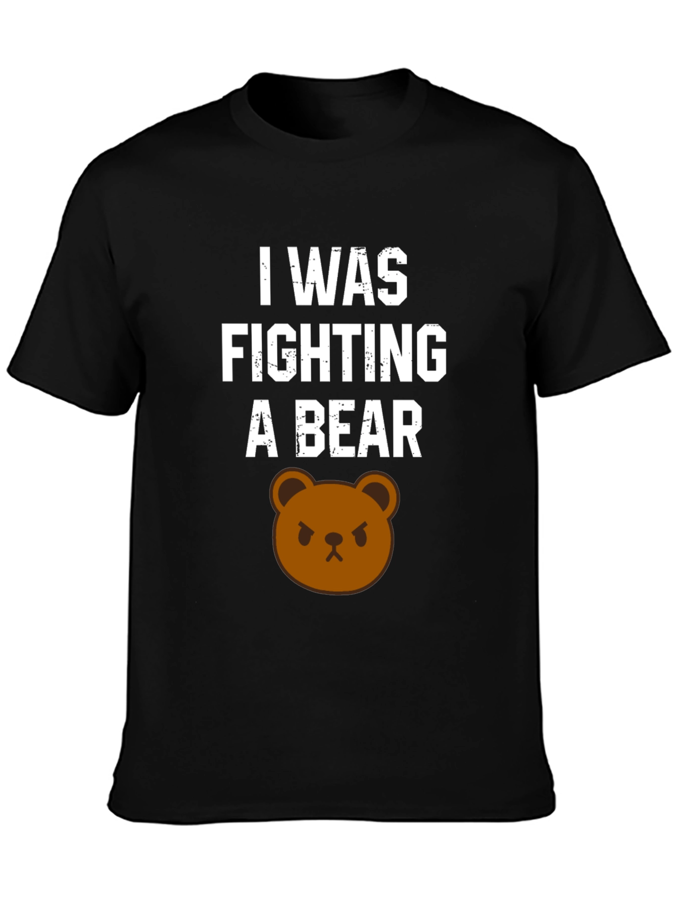 I Was Fighting A Bear T-Shirt Funny Graphic Tee