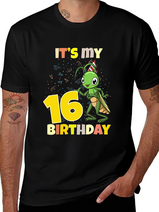 Its My 16th Birthday Cricket T-Shirt