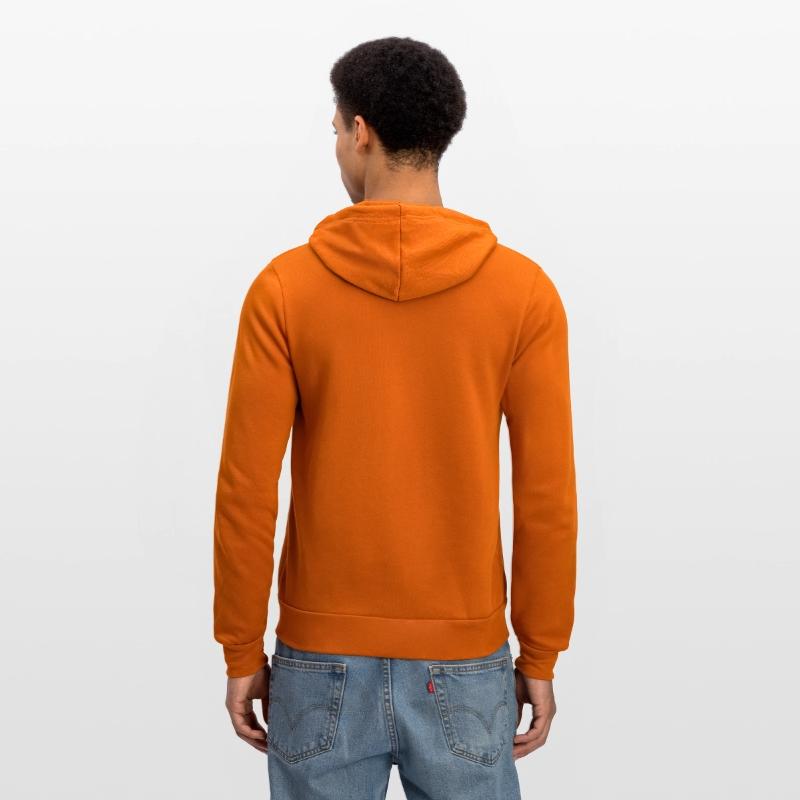 Autumn Cozy Cats and Pumpkin Books