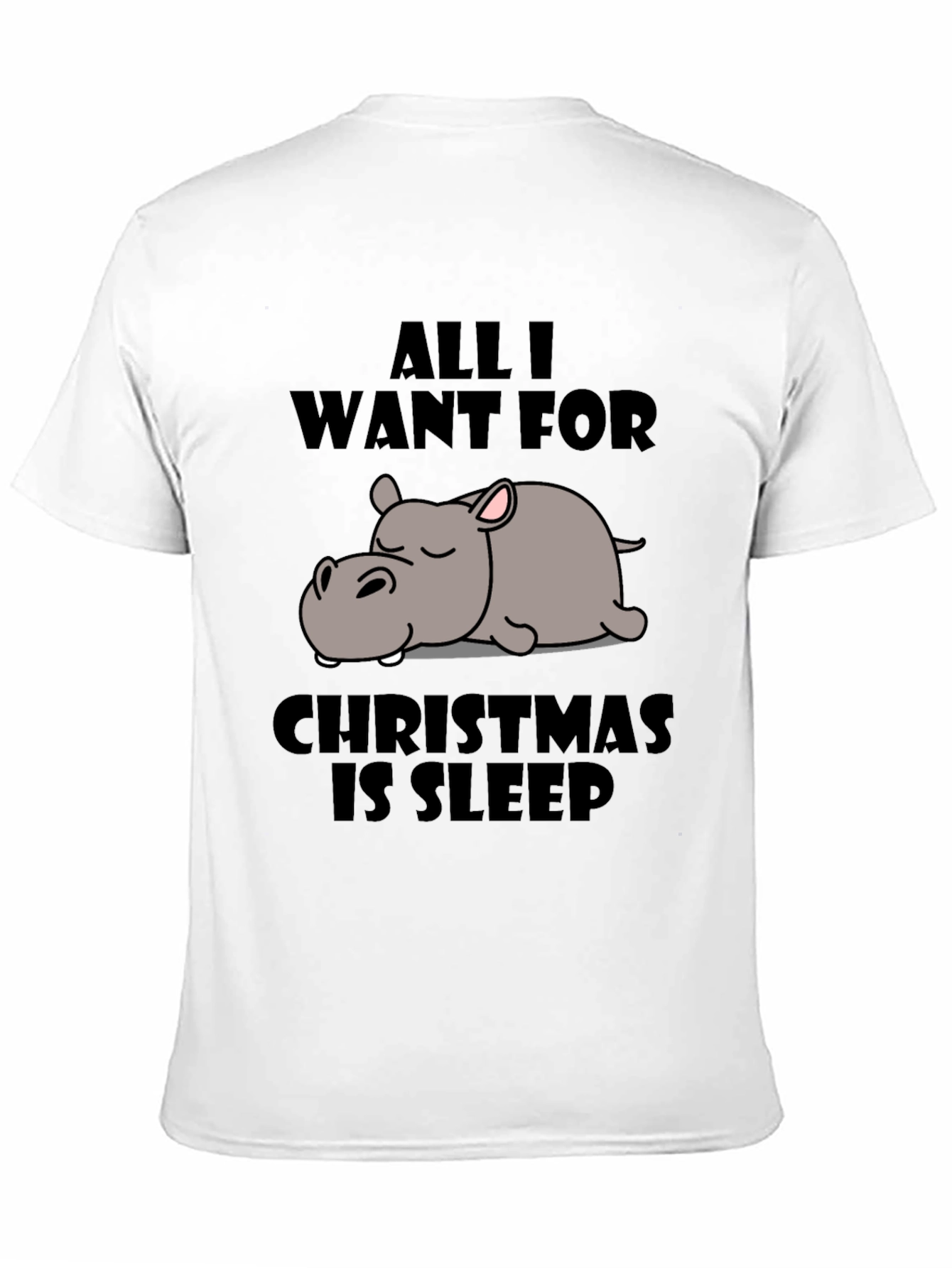 All I Want for Christmas Sleep T-Shirt
