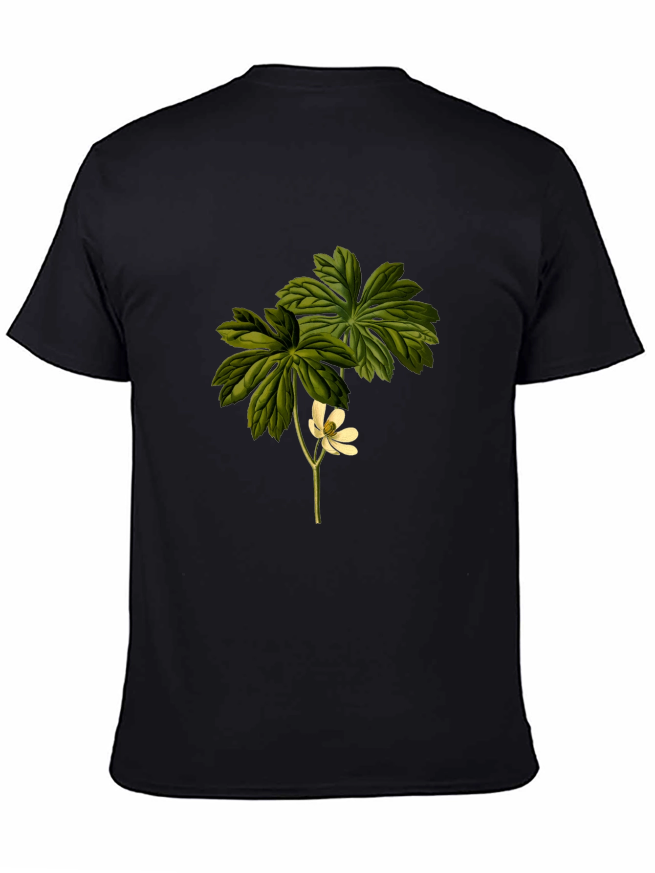 Botanical Flower Graphic Tee - Black