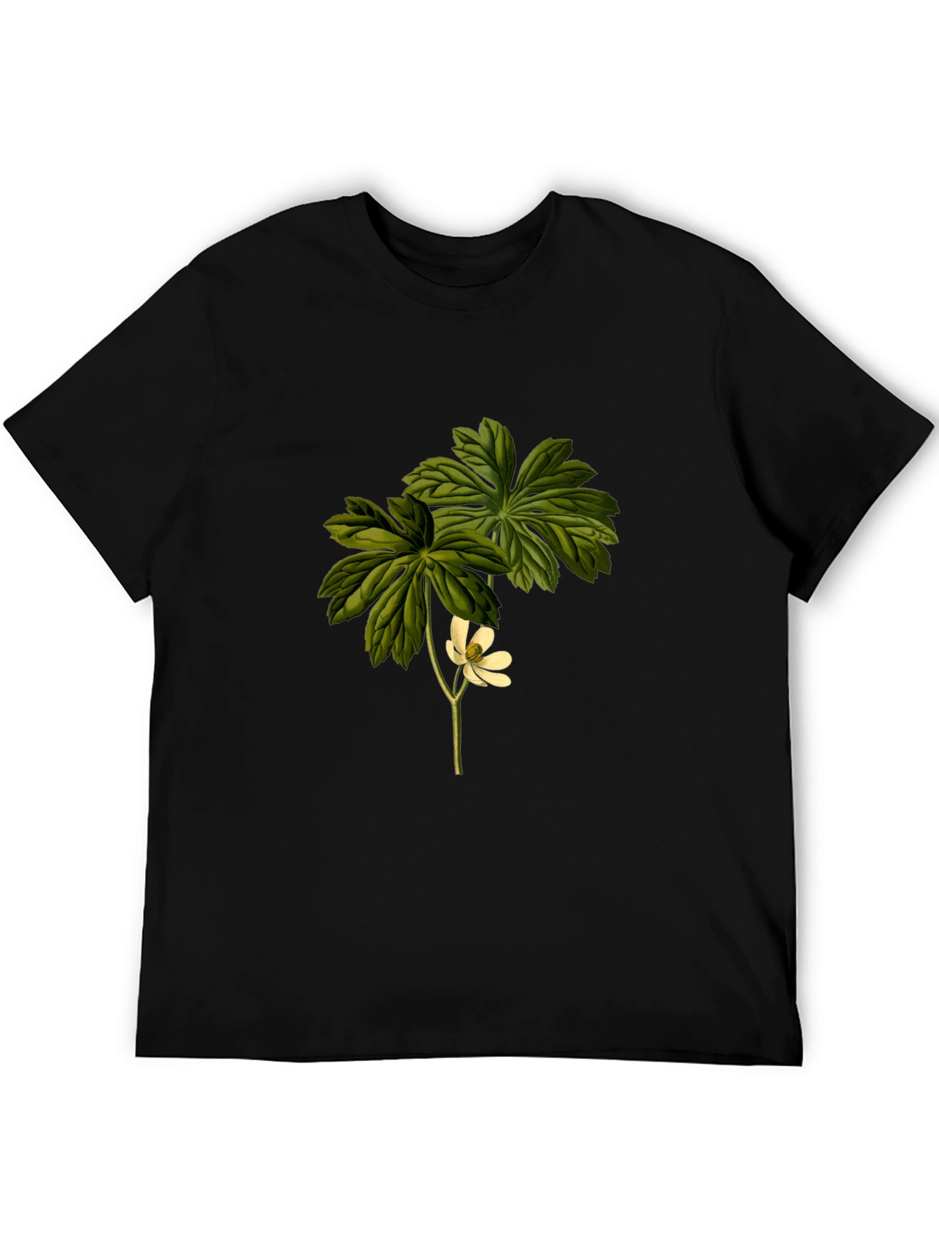 Botanical Flower Graphic Tee - Black