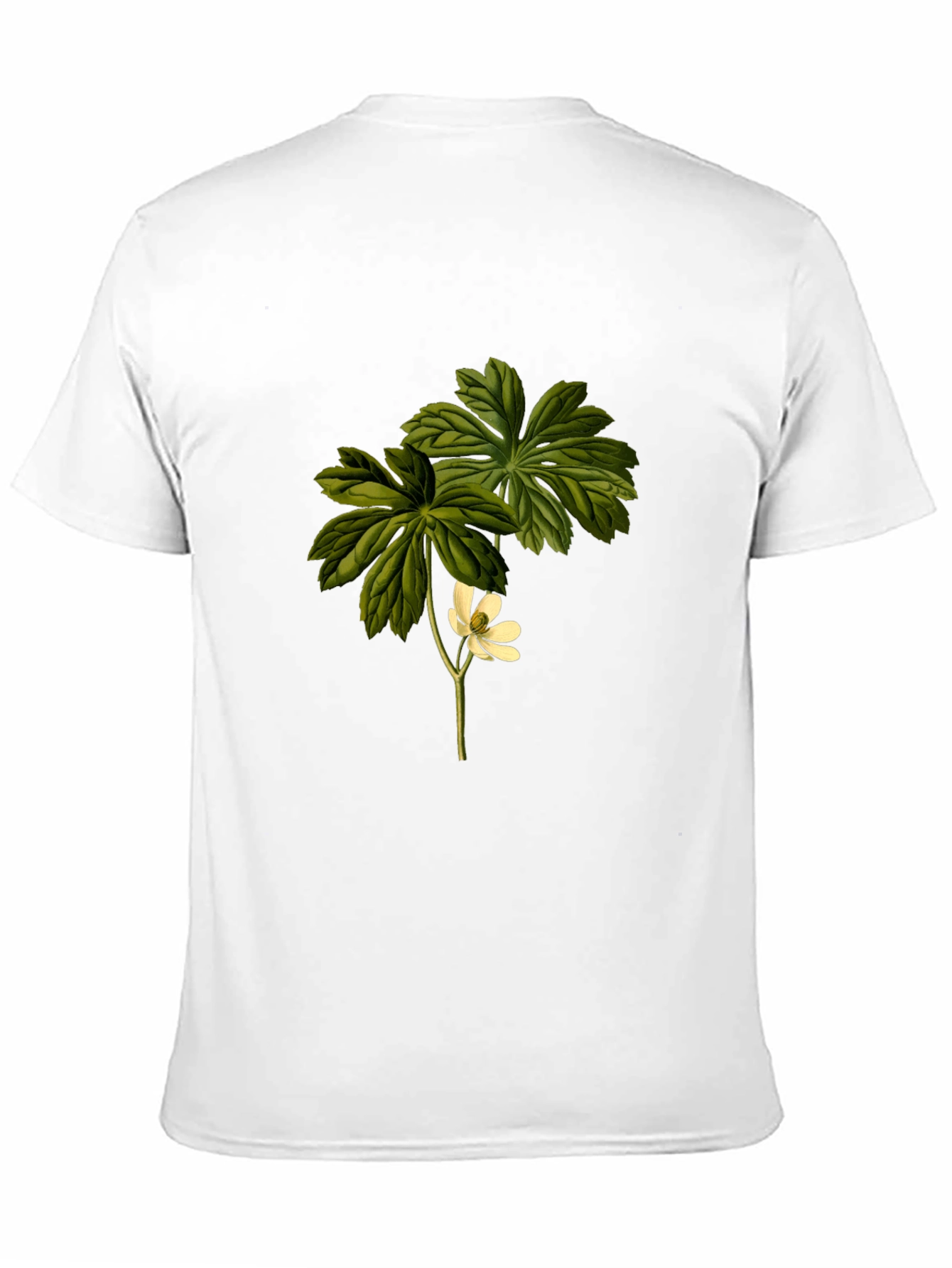 Botanical Flower Graphic Tee - Black
