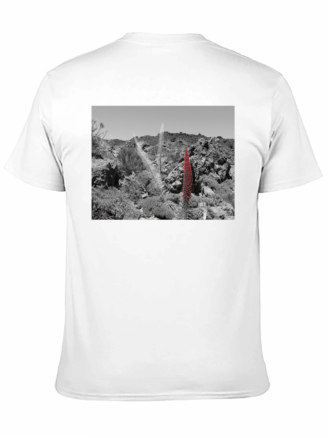 Unique Landscape Graphic Tee