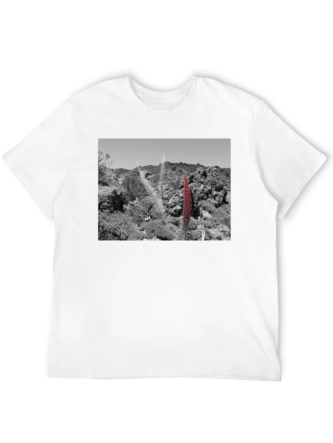 Unique Landscape Graphic Tee