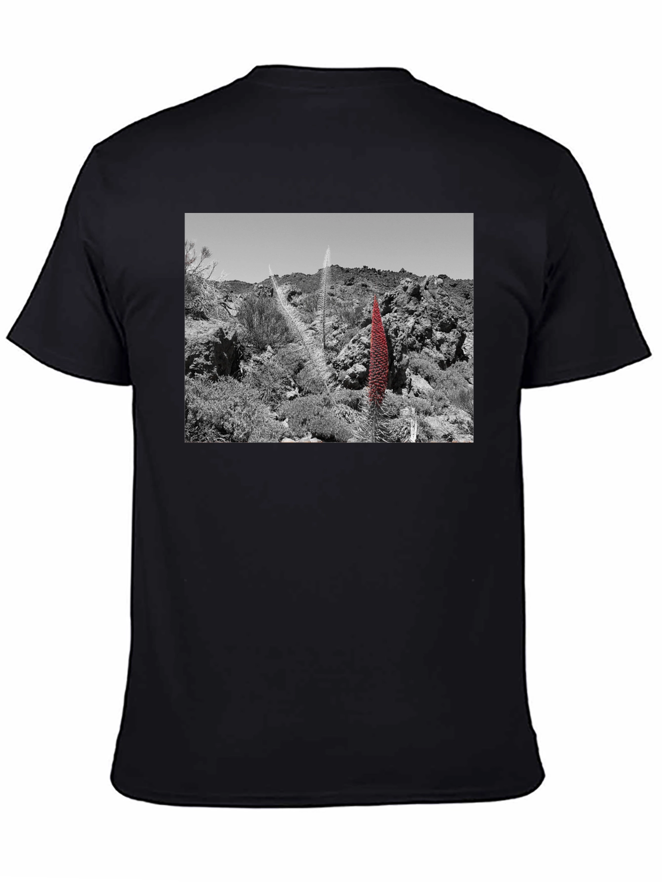 Unique Landscape Graphic Tee