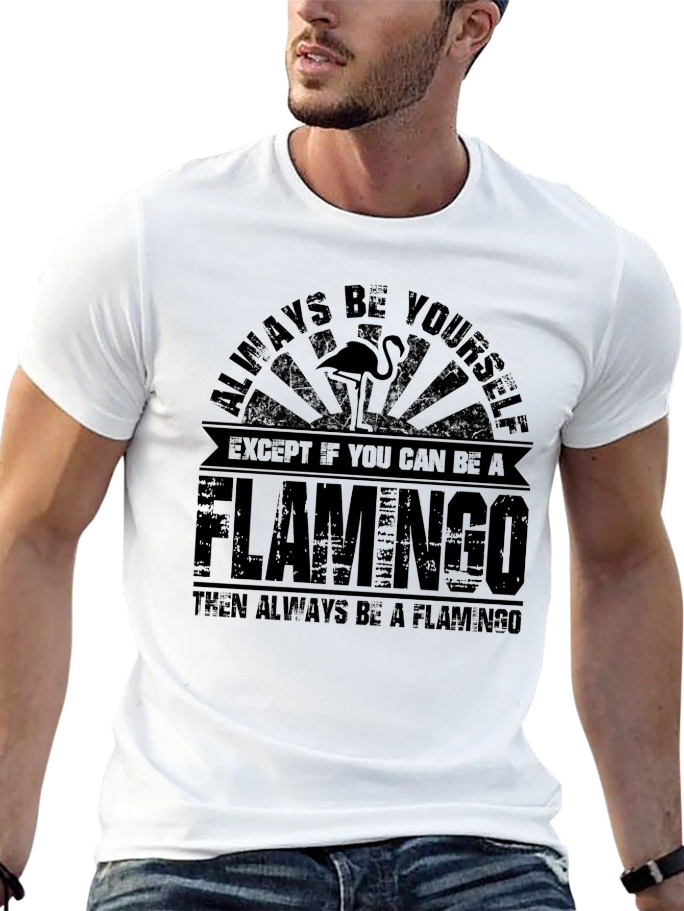 Be a Flamingo Black Graphic T-Shirt