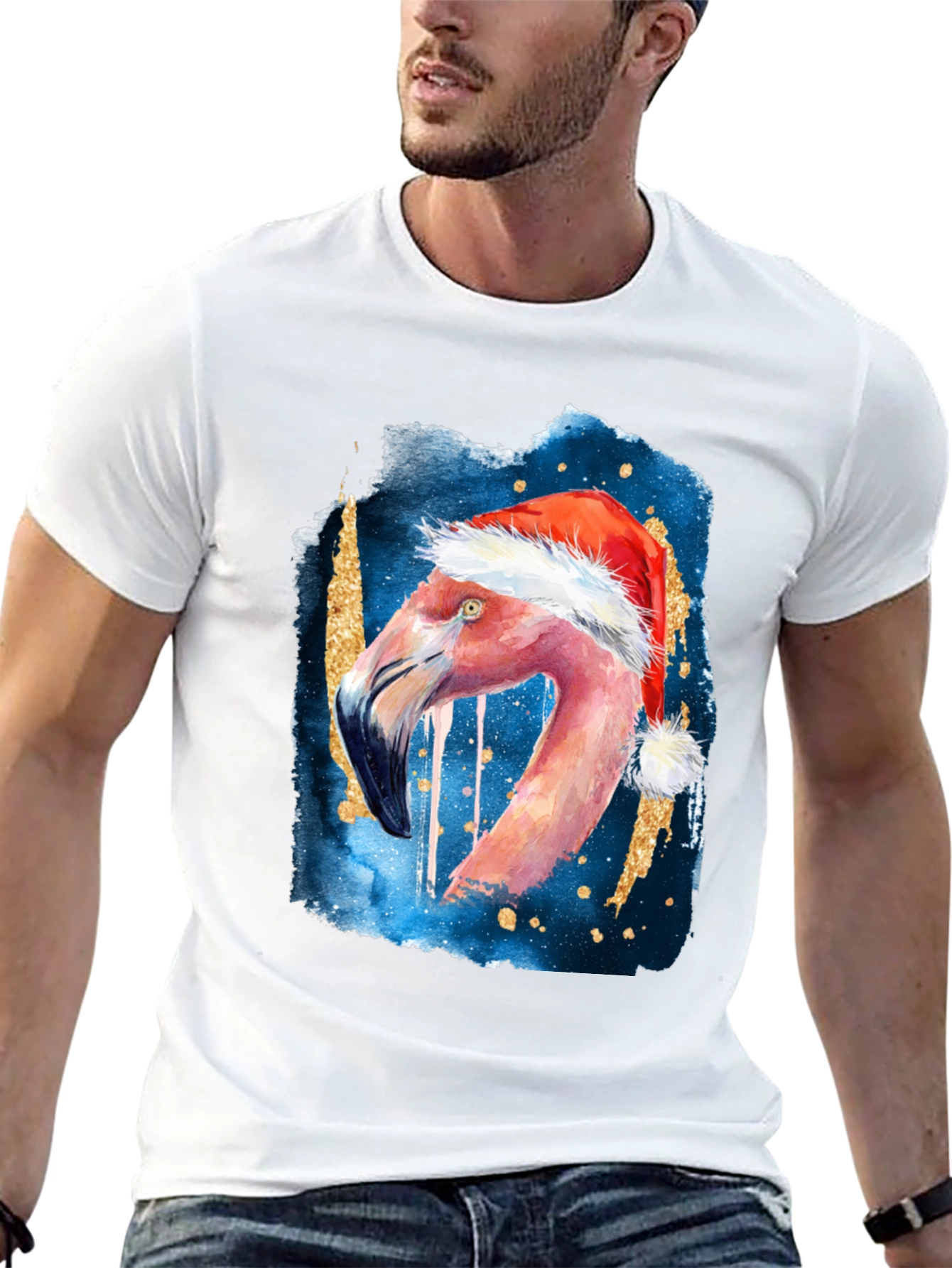 Festive Flamingo T-Shirt