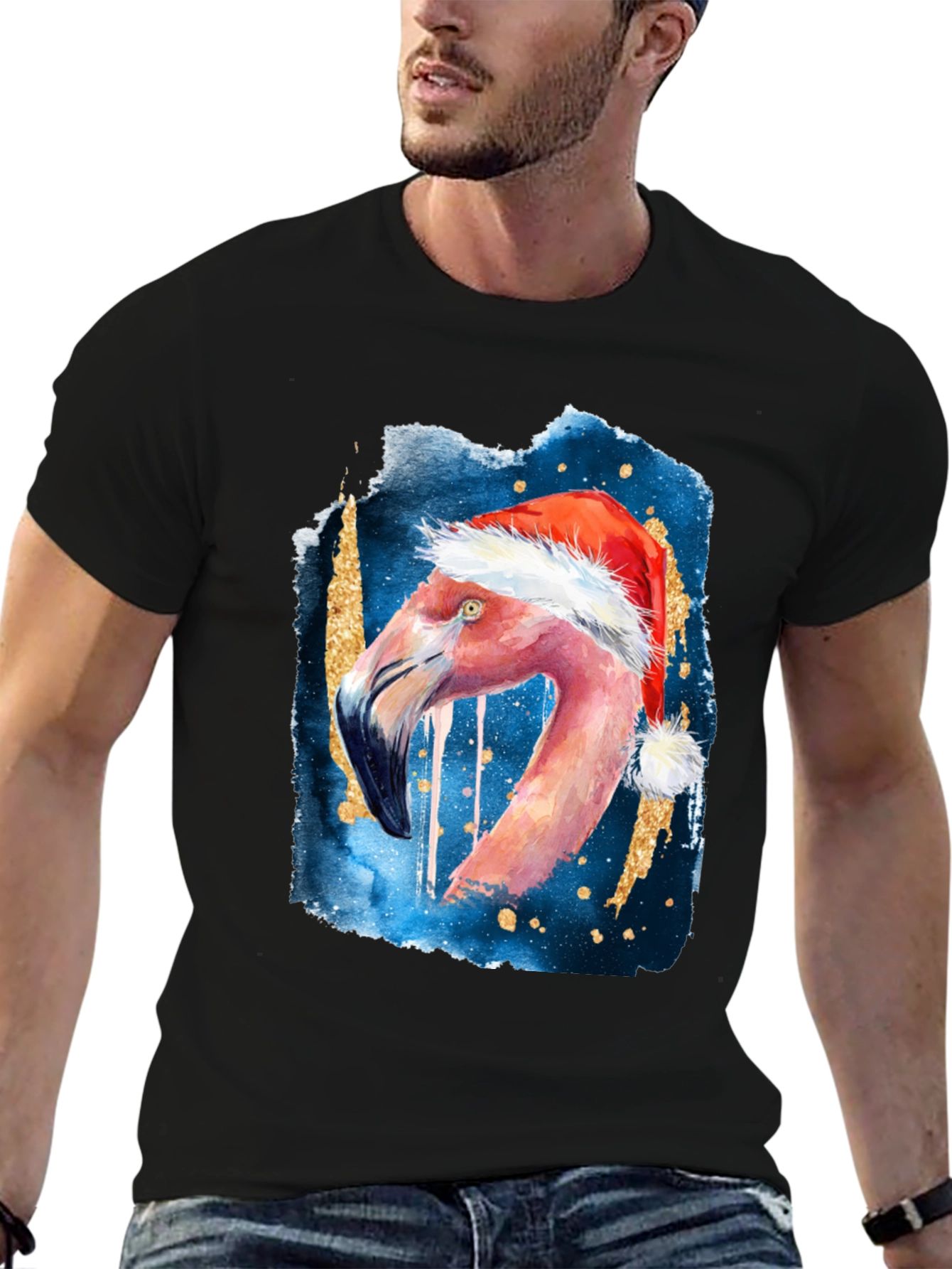 Festive Flamingo T-Shirt