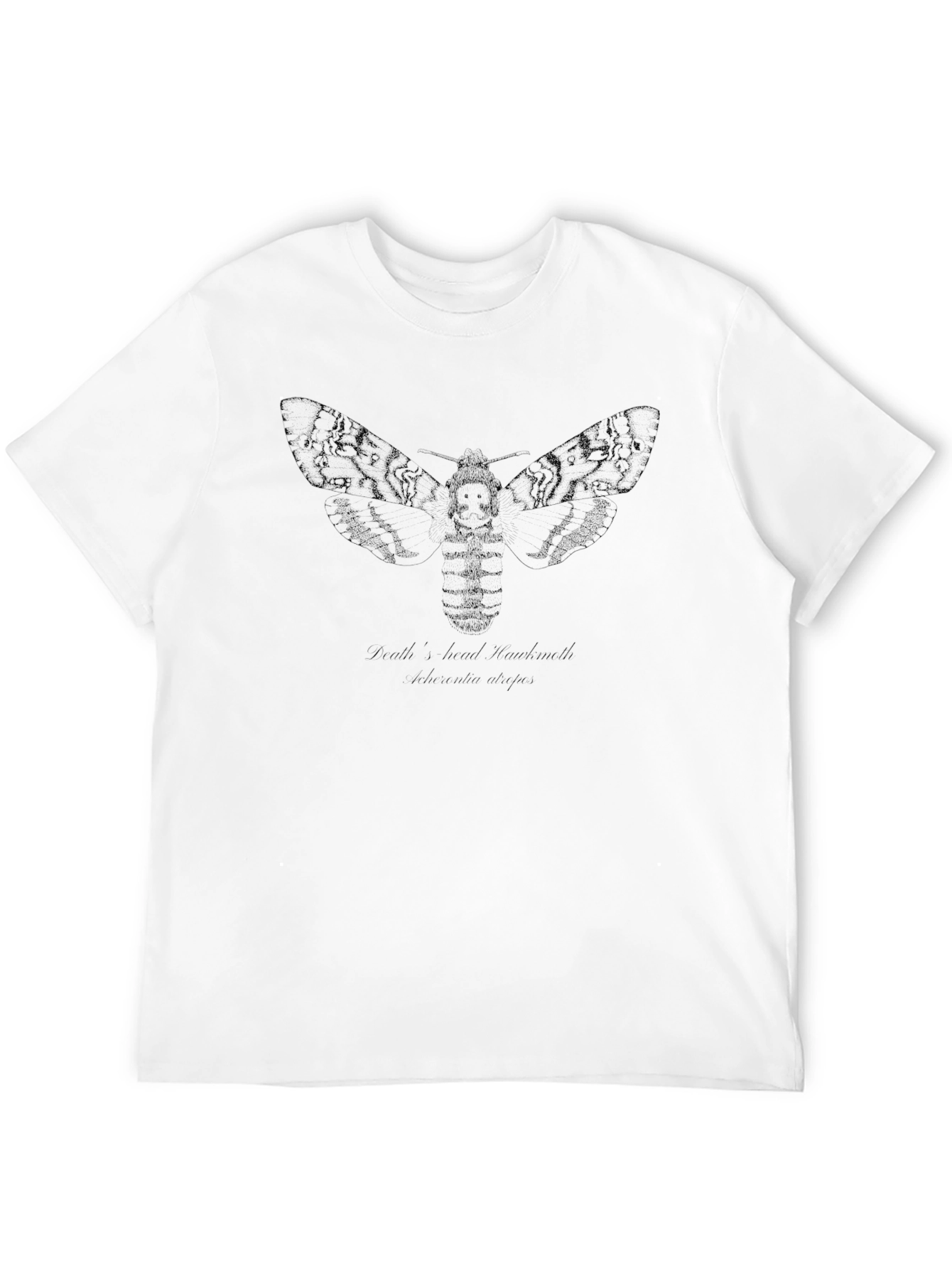 Black Graphic Tee - Deaths-head Hawkmoth Design