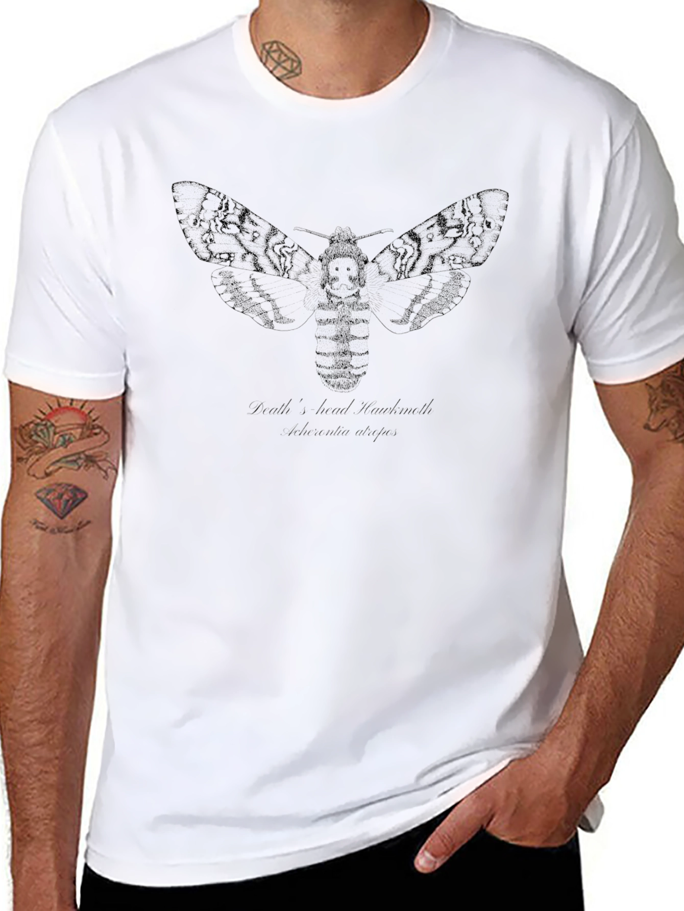 Black Graphic Tee - Deaths-head Hawkmoth Design