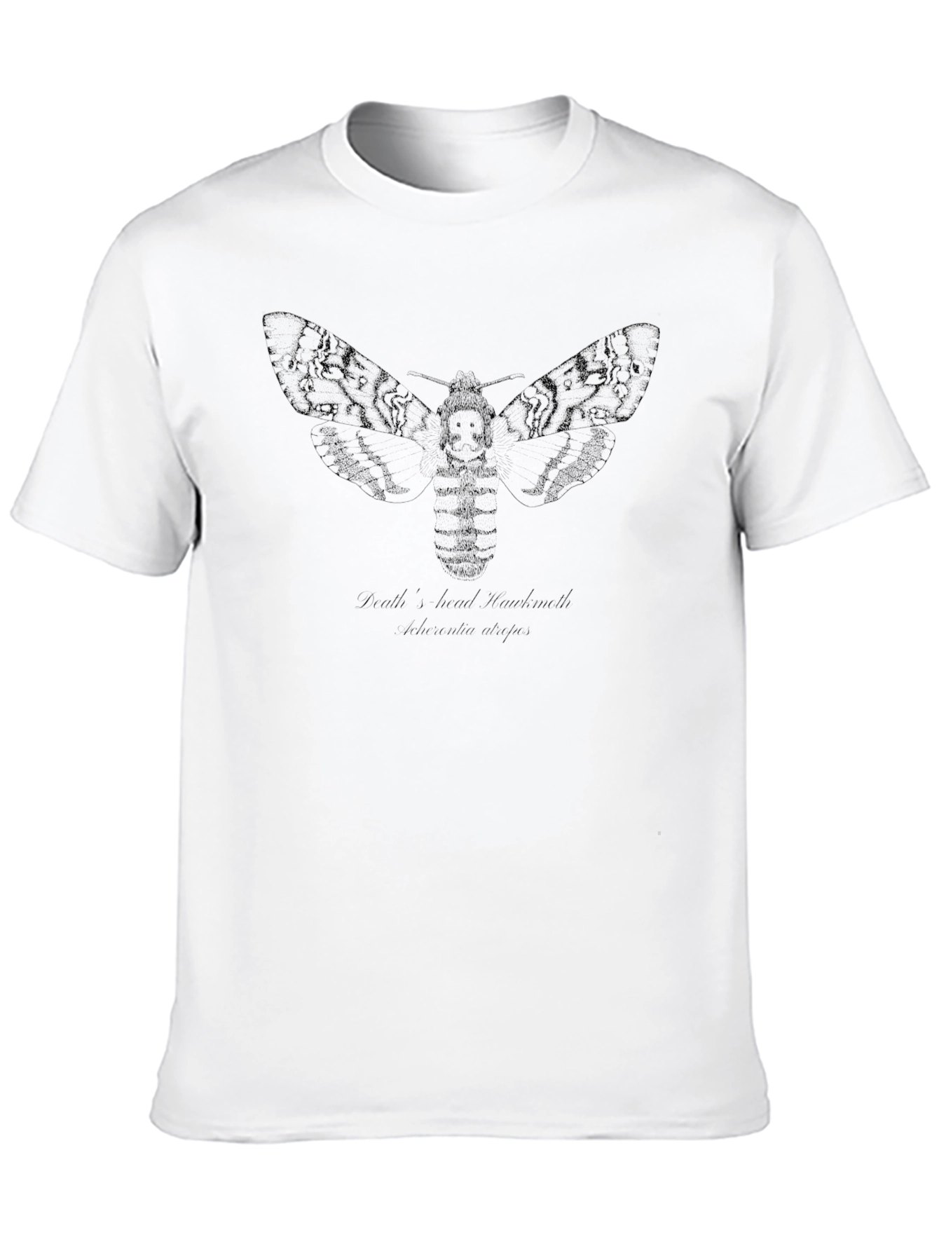 Black Graphic Tee - Deaths-head Hawkmoth Design