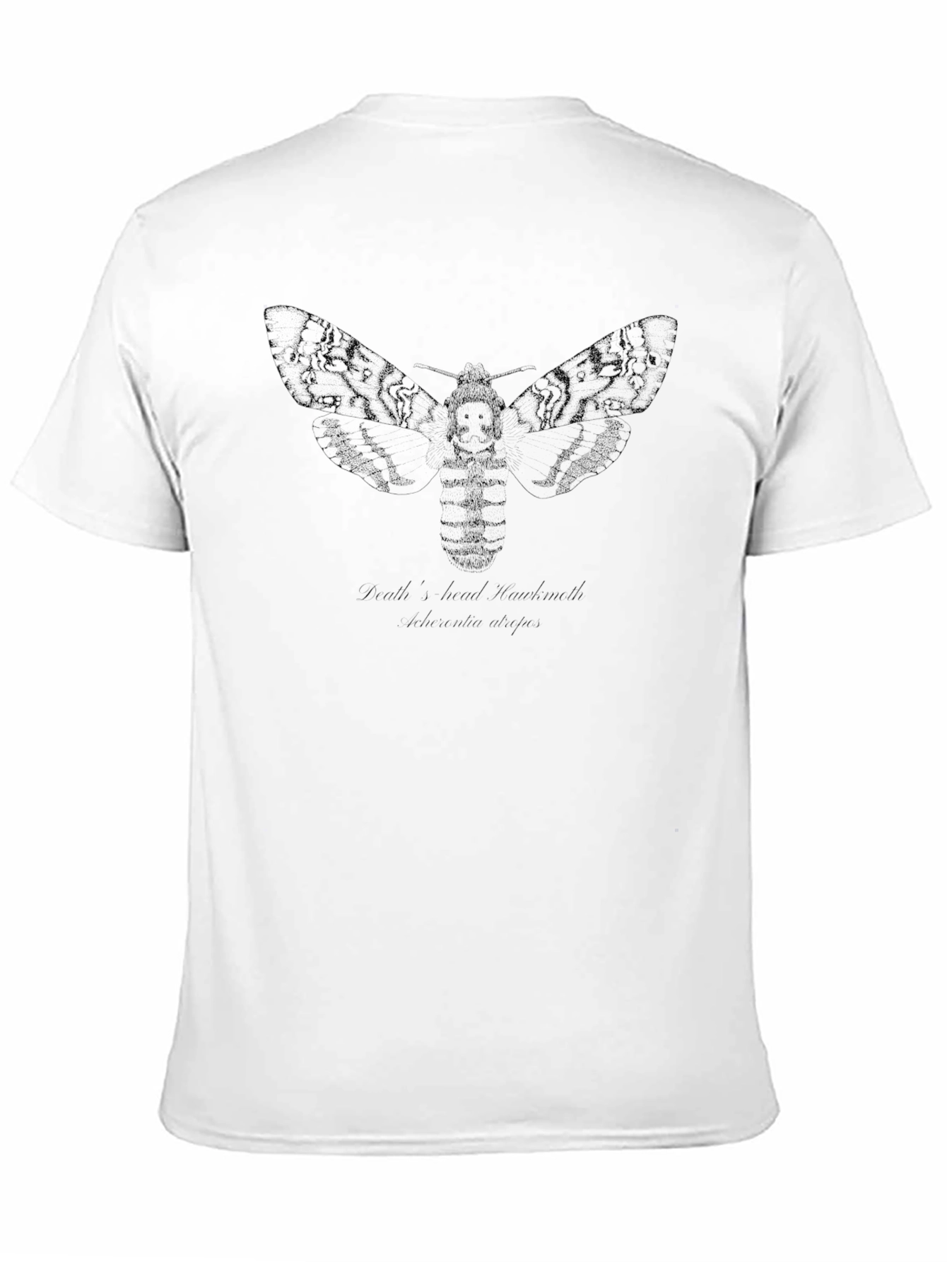 Black Graphic Tee - Deaths-head Hawkmoth Design