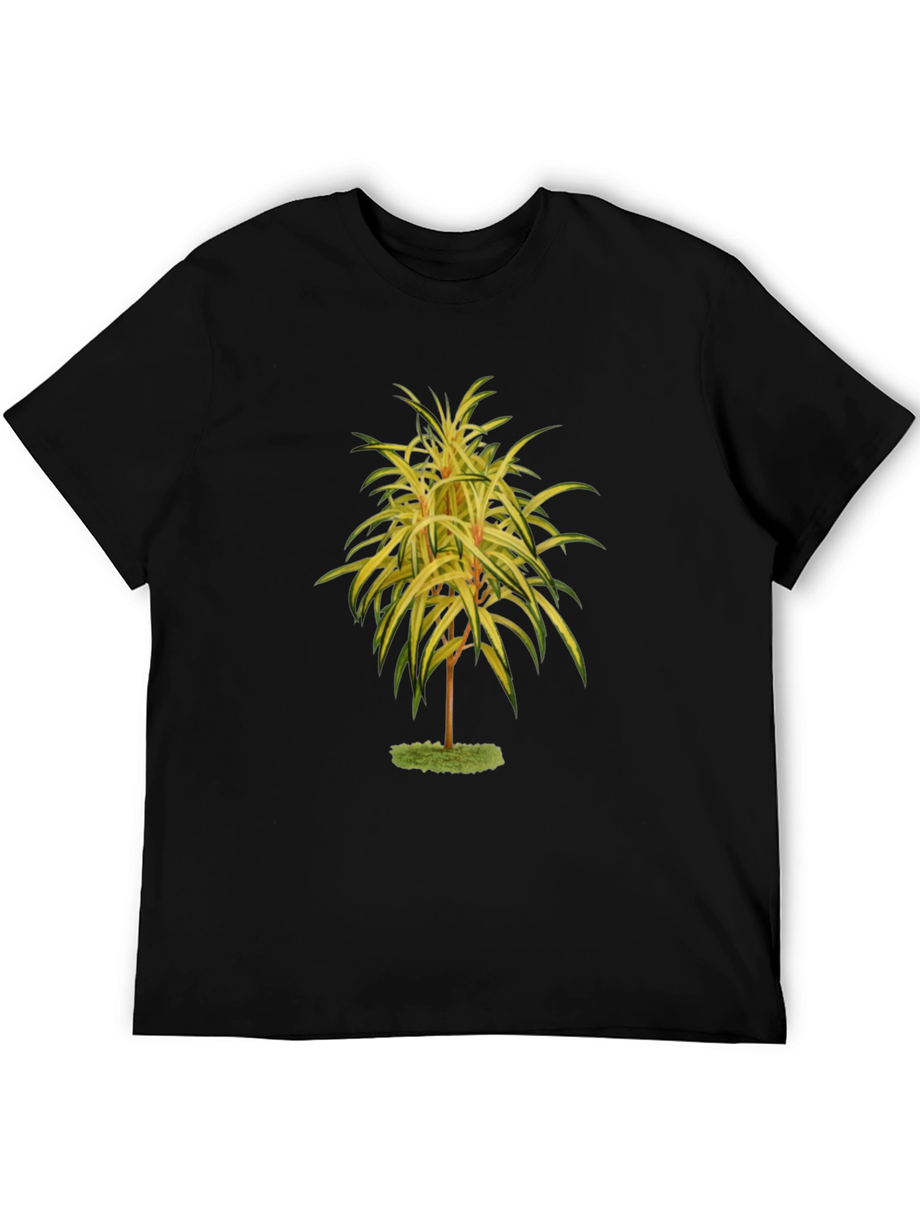 Botanical Tree Print Black T-Shirt