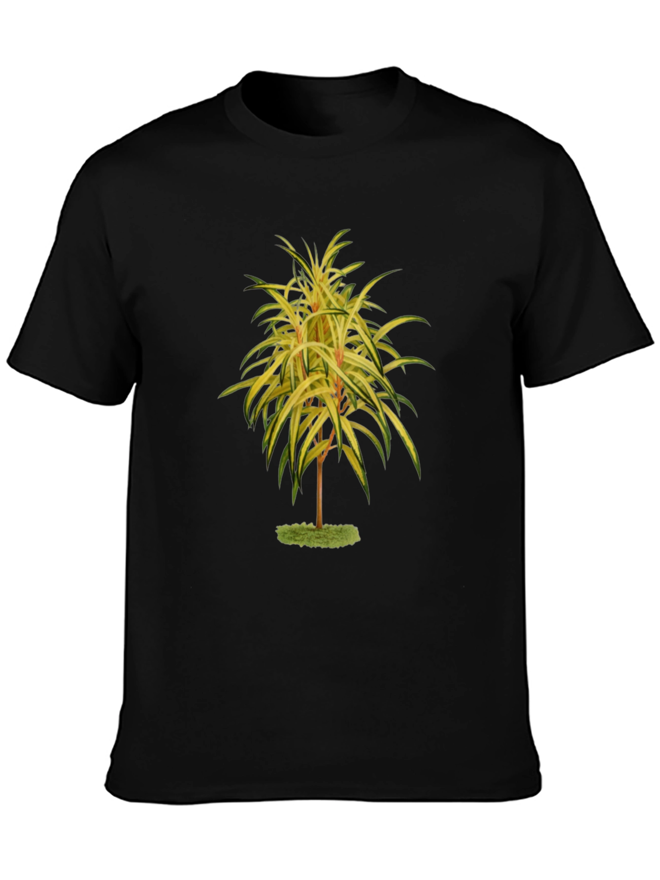 Botanical Tree Print Black T-Shirt