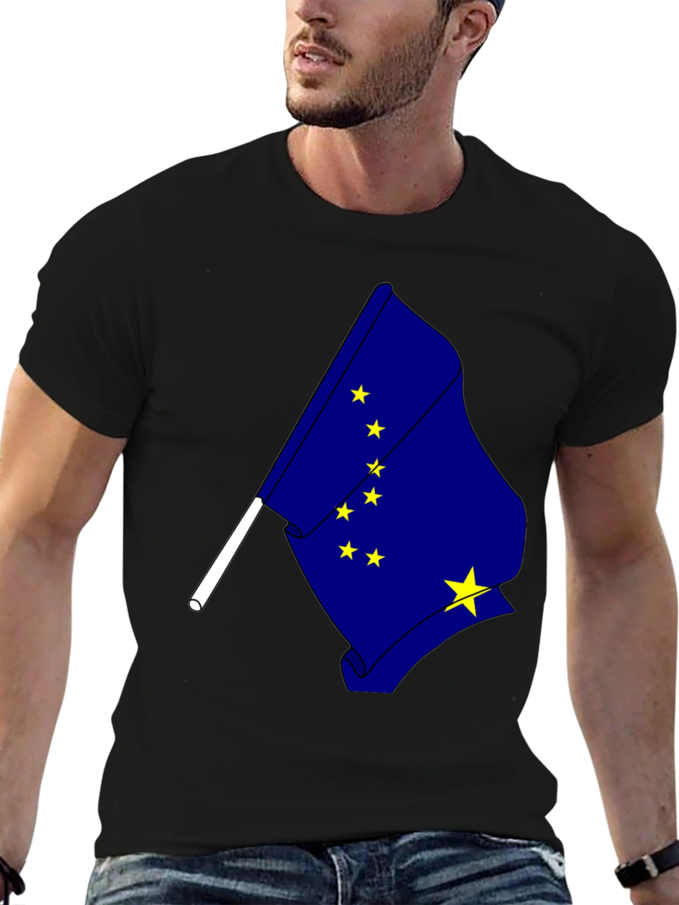 Alaska Flag Graphic T-Shirt - Black