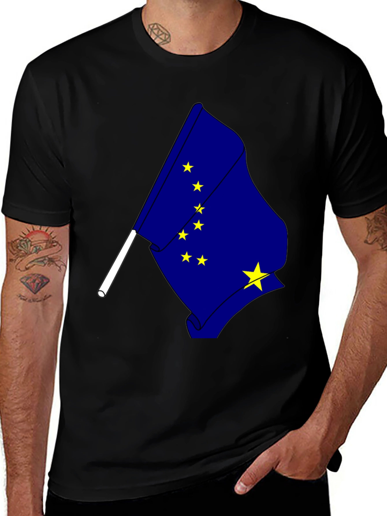 Alaska Flag Graphic T-Shirt - Black