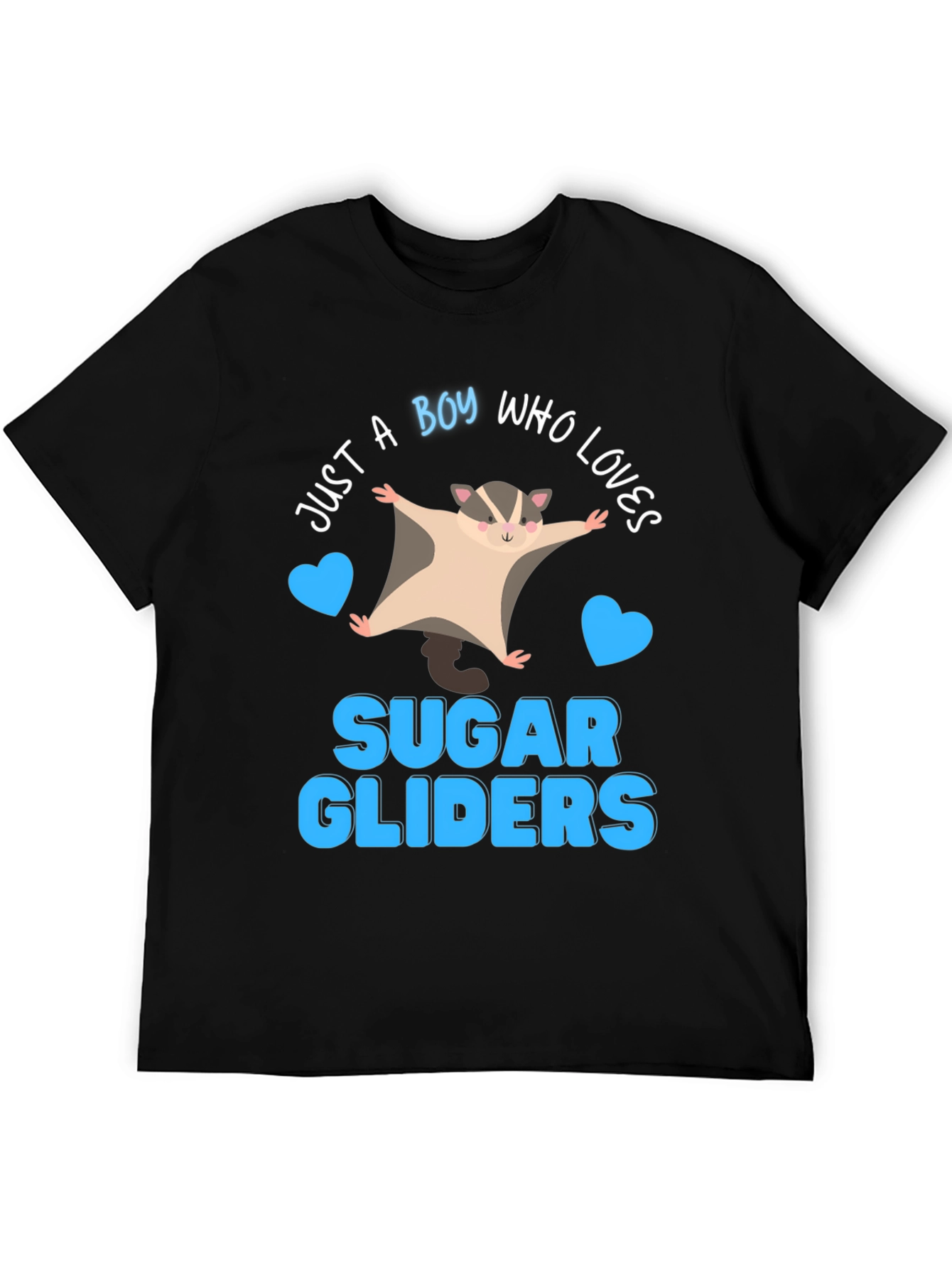 Boy Who Loves Sugar Gliders Graphic Tee