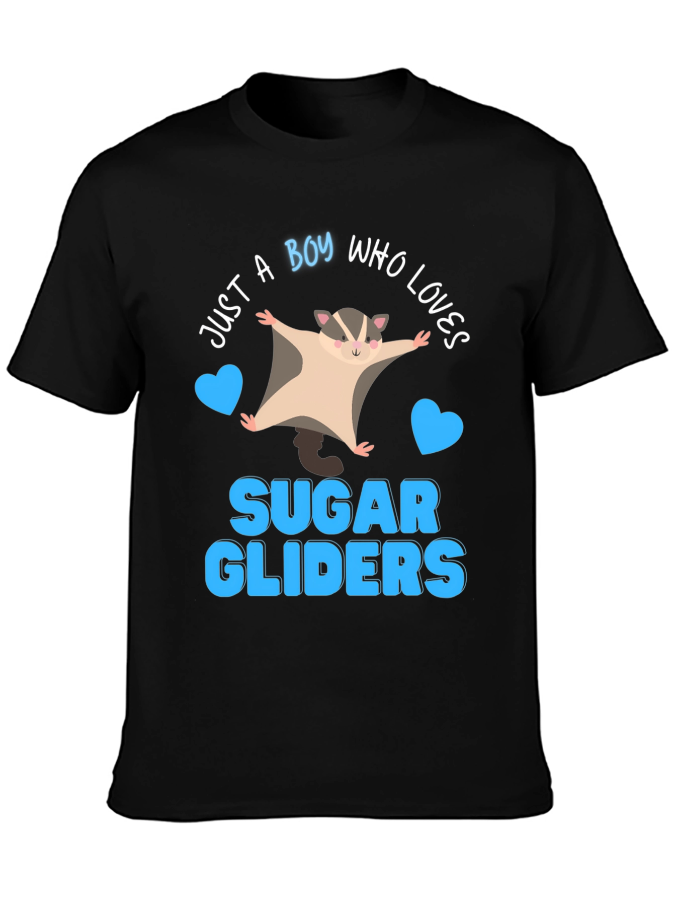 Boy Who Loves Sugar Gliders Graphic Tee