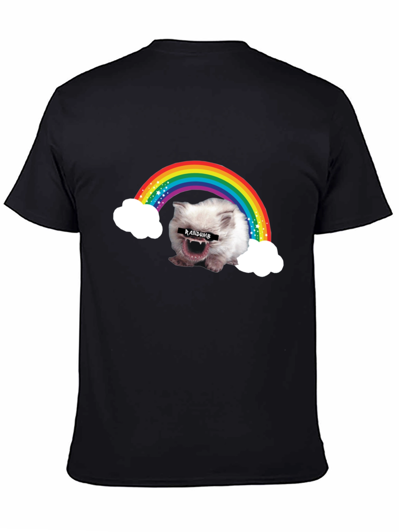 Random Rainbow Cat Meme T-Shirt