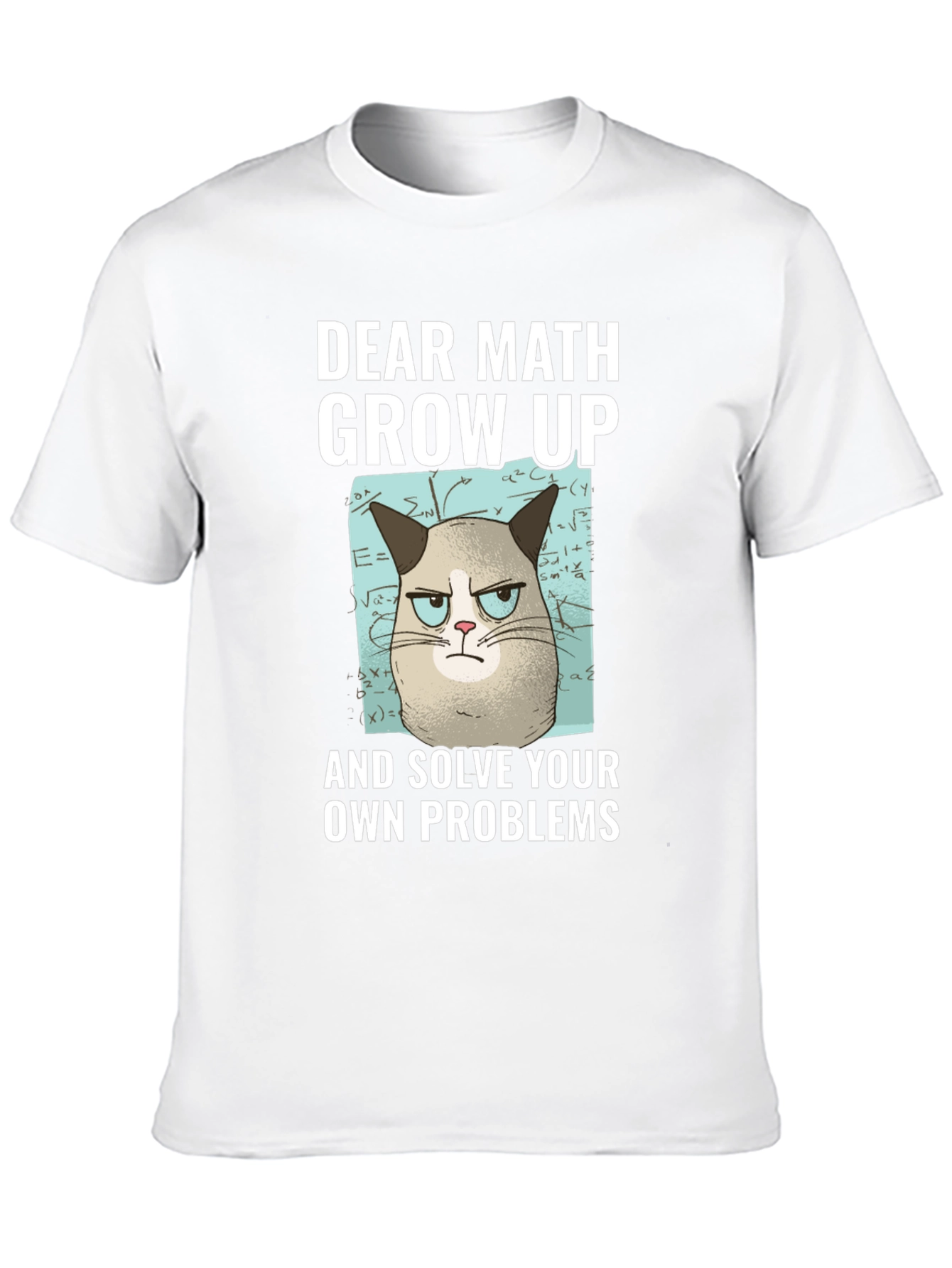 Dear Math Grow Up T-Shirt Grumpy Cat Funny Tee