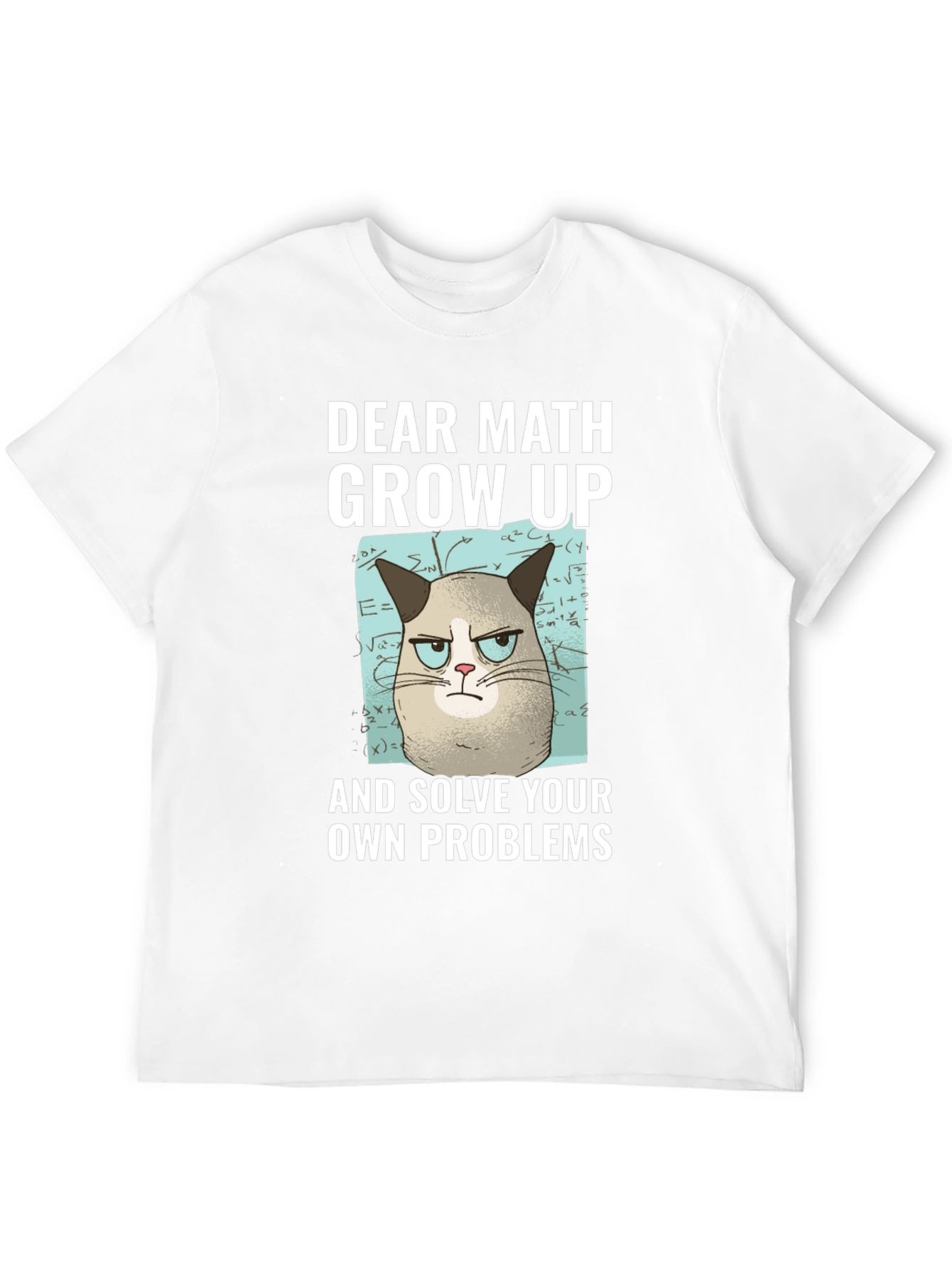 Dear Math Grow Up T-Shirt Grumpy Cat Funny Tee