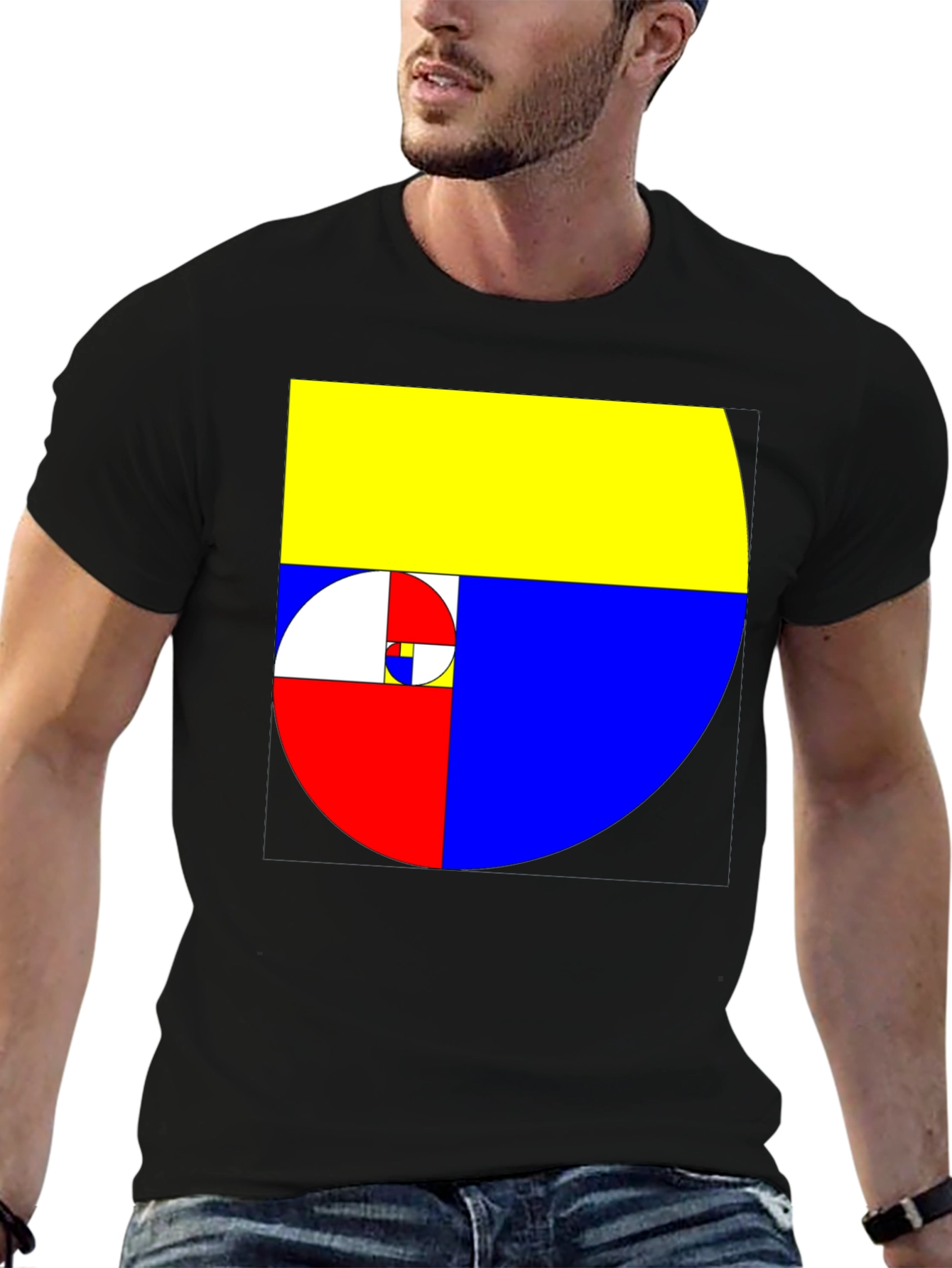 Geometric Fibonacci Sequence Mens Black T-Shirt