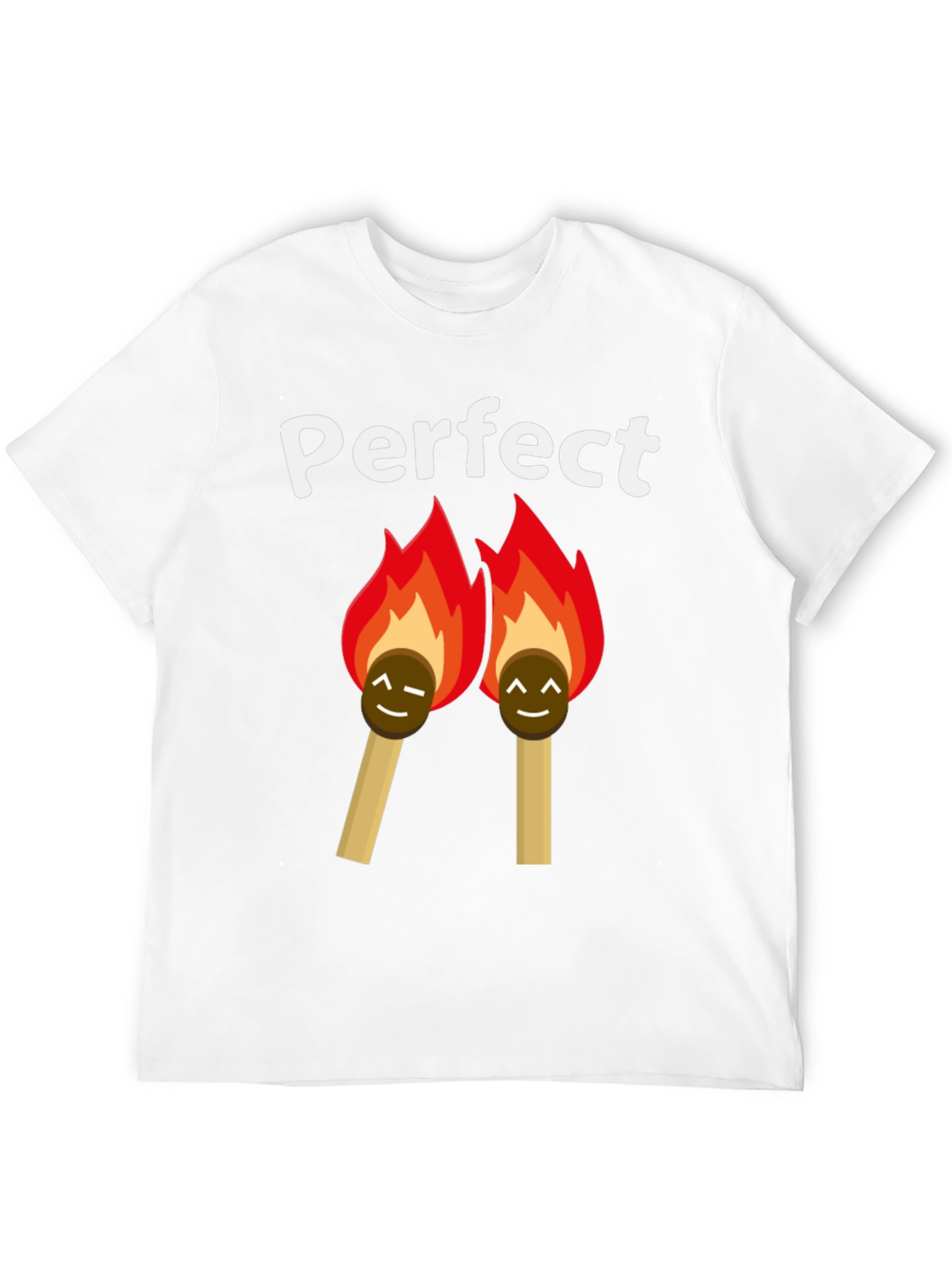 Perfect Match T-Shirt - Lit Love Humor