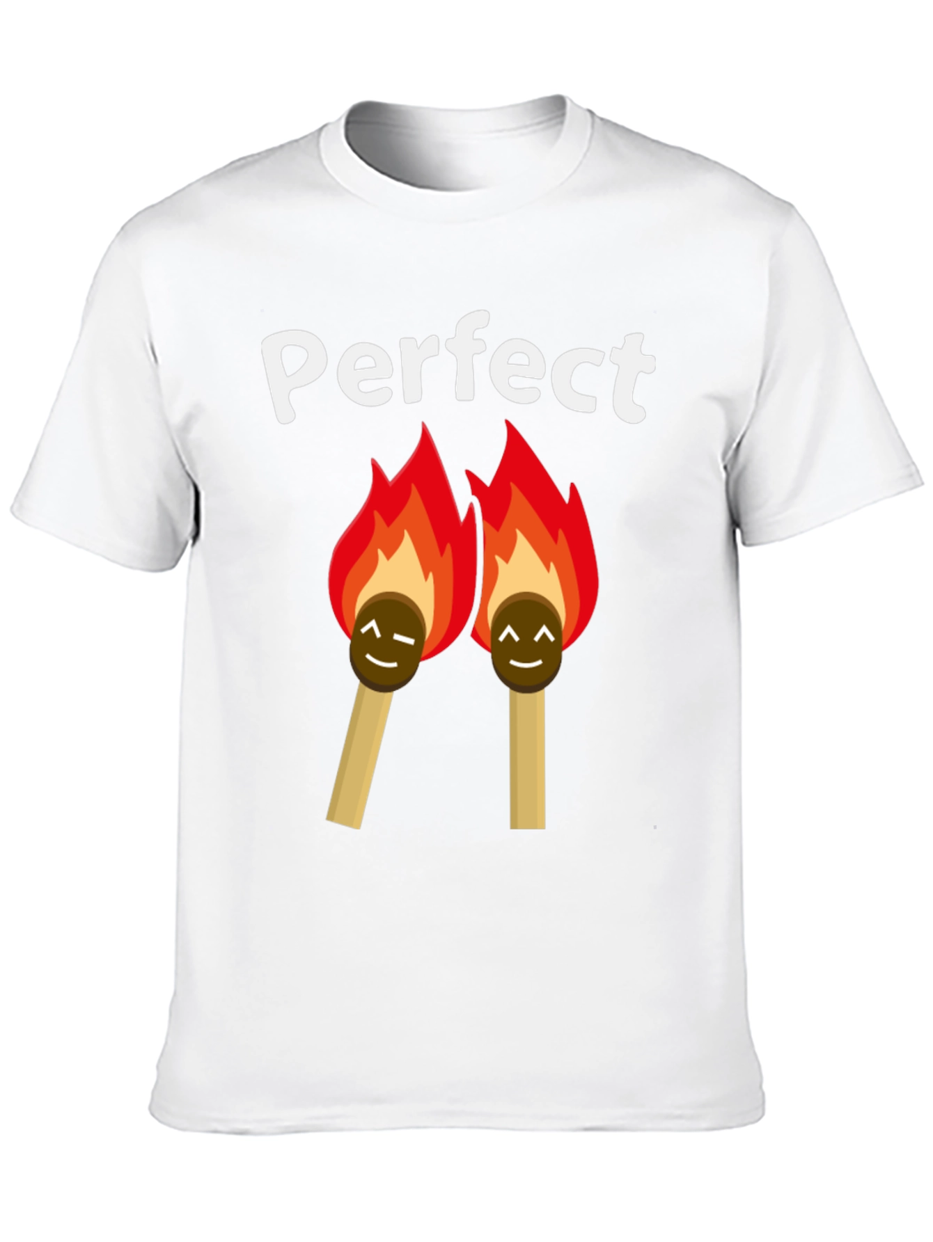 Perfect Match T-Shirt - Lit Love Humor