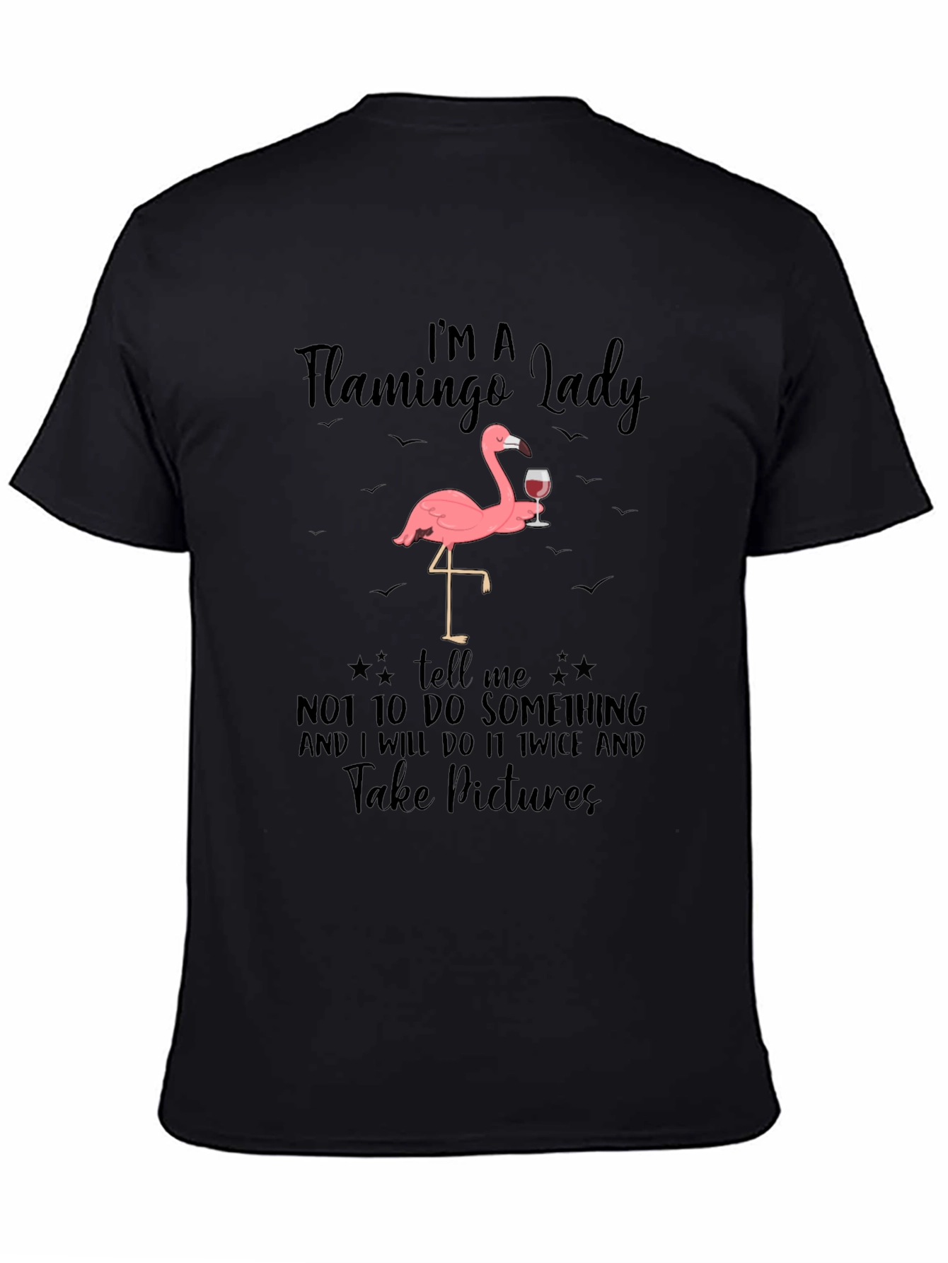 Flamingo Lady Graphic Tee Funny Sarcastic T-Shirt
