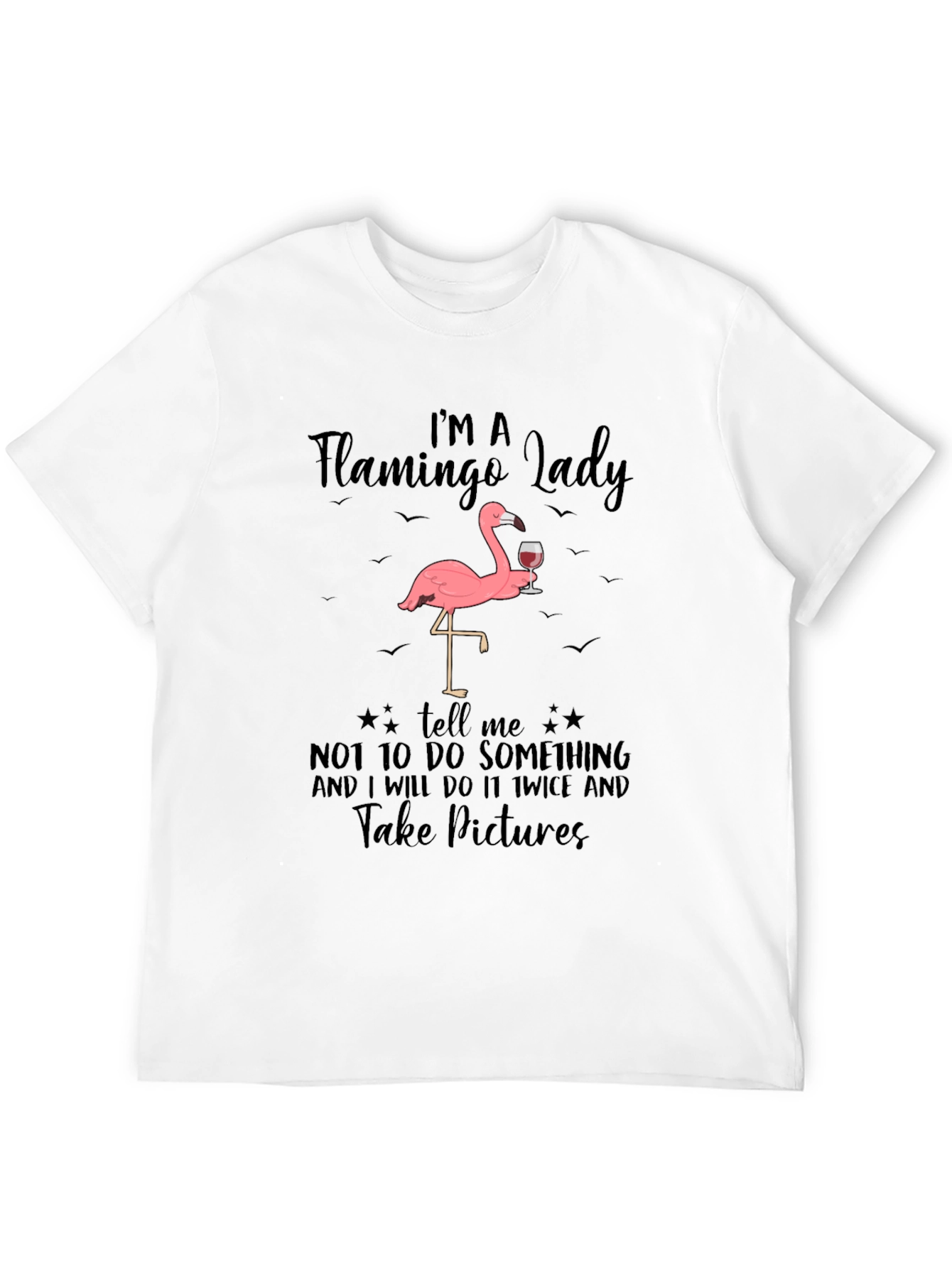 Flamingo Lady Graphic Tee Funny Sarcastic T-Shirt