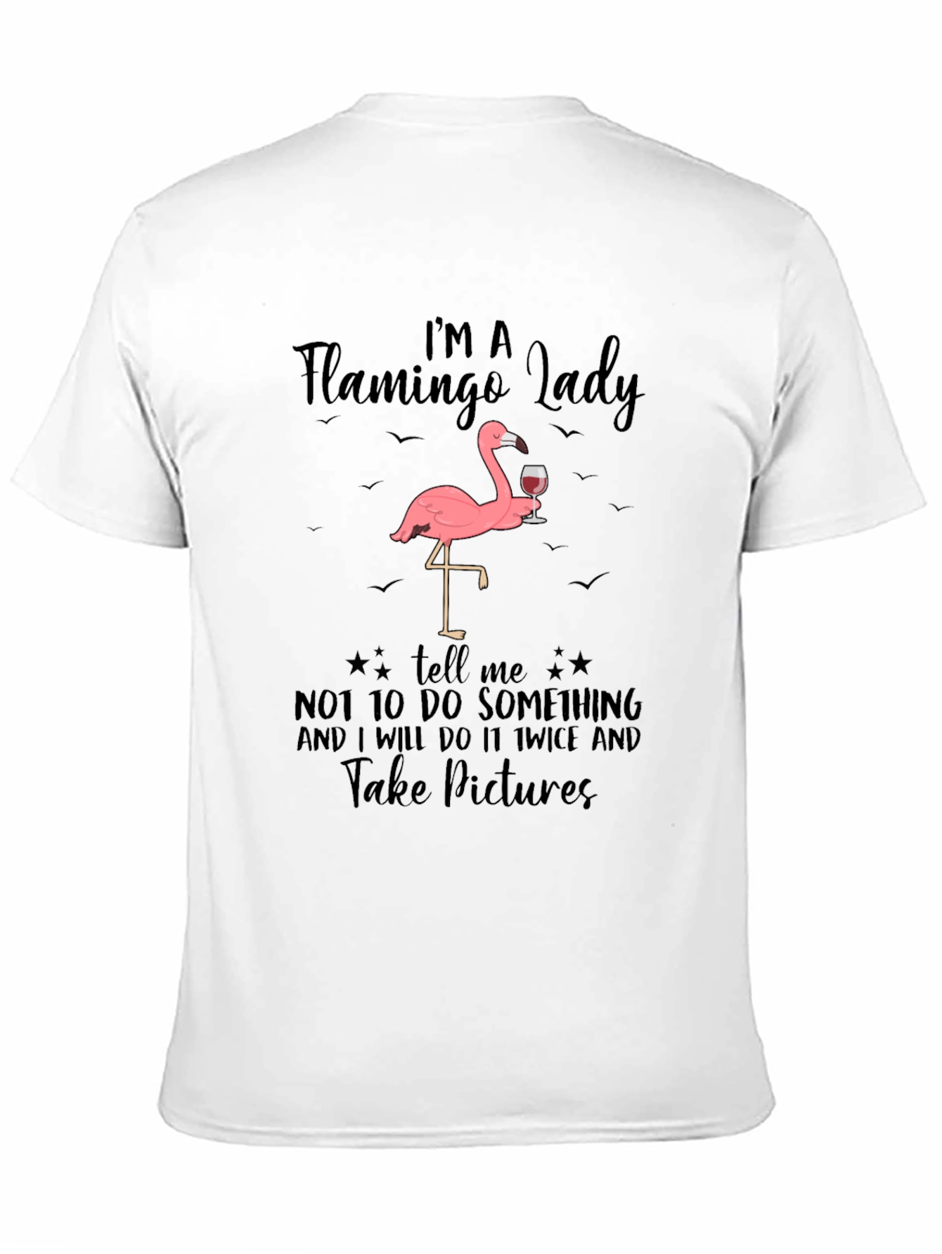 Flamingo Lady Graphic Tee Funny Sarcastic T-Shirt