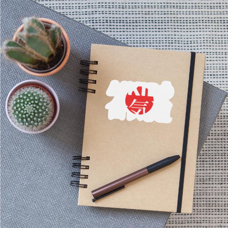 Aikido Japanese Mma Fighting