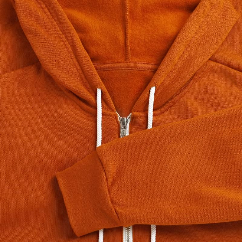 Autumn Cozy Cats and Pumpkin Books