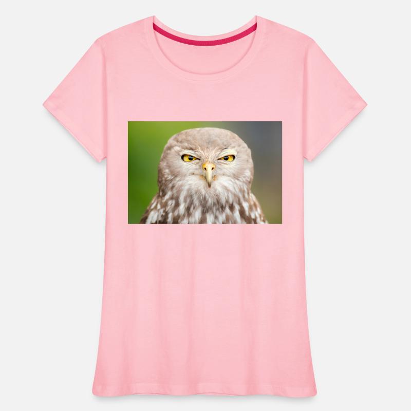 Barking Owl